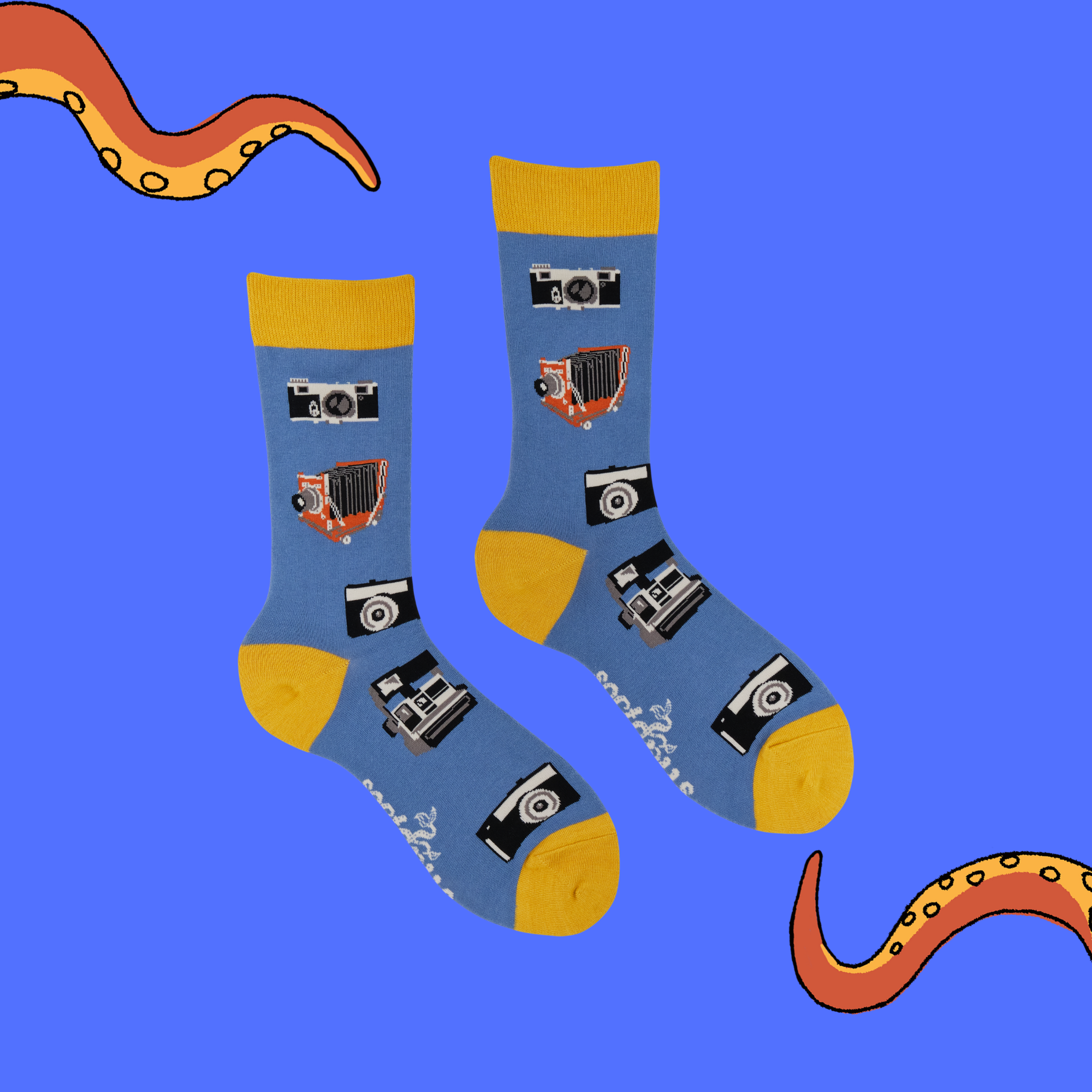 Photography Bamboo Socks - Socktography