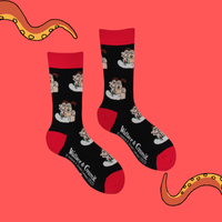 Wallace and Gromit Socks - Wallace and Gromit