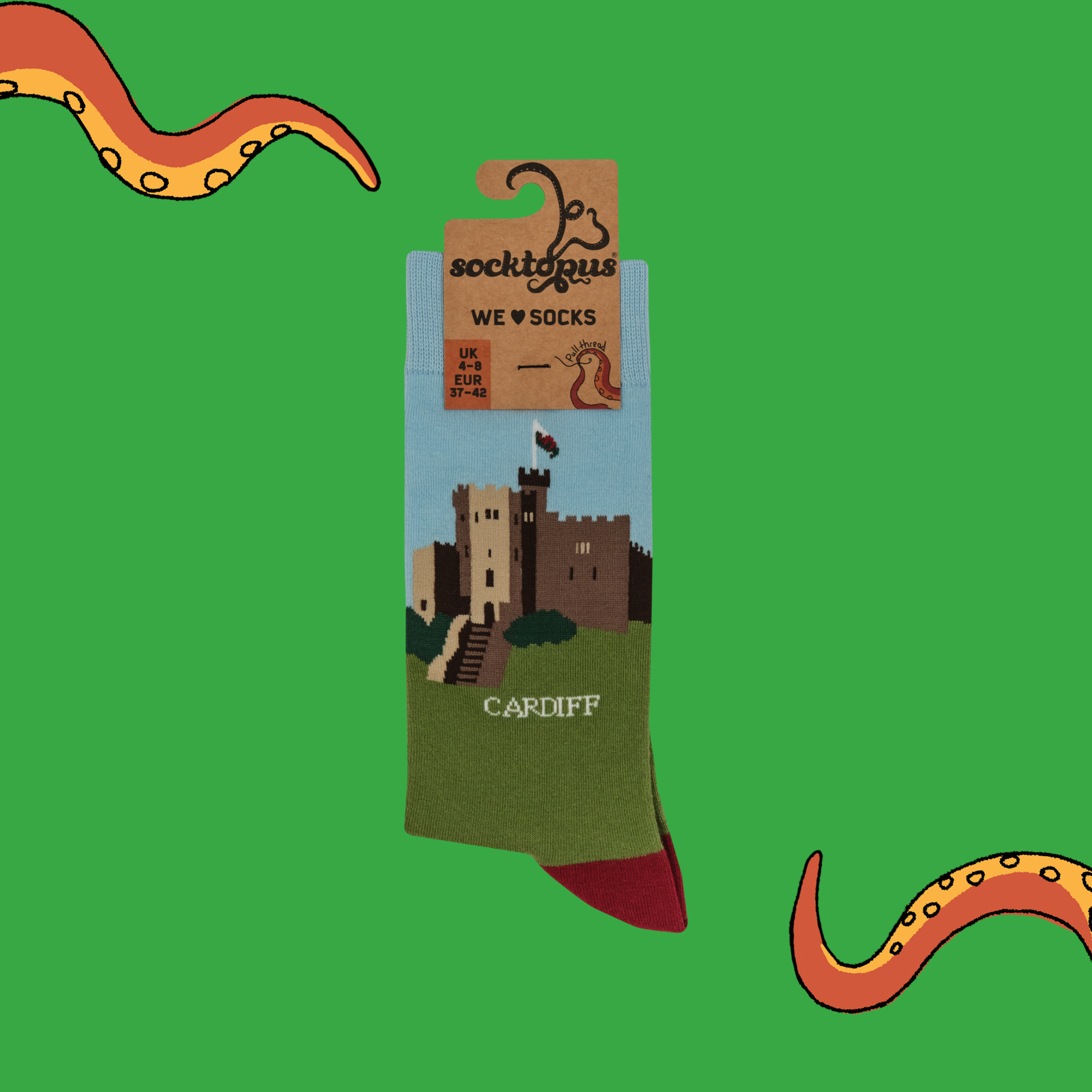 Cardiff Castle Socks