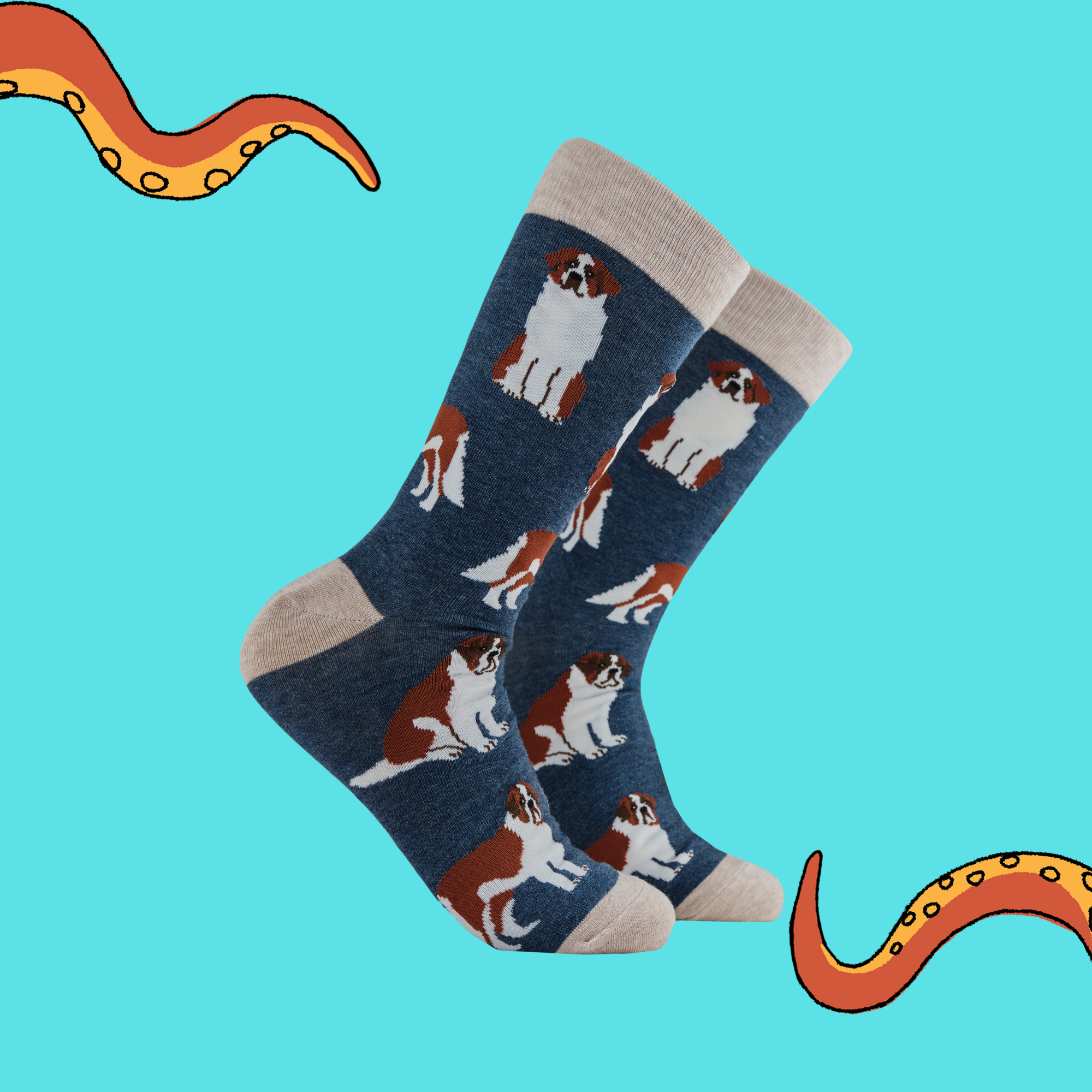 Saint Bernard Dog Socks - Oh When The Saints!