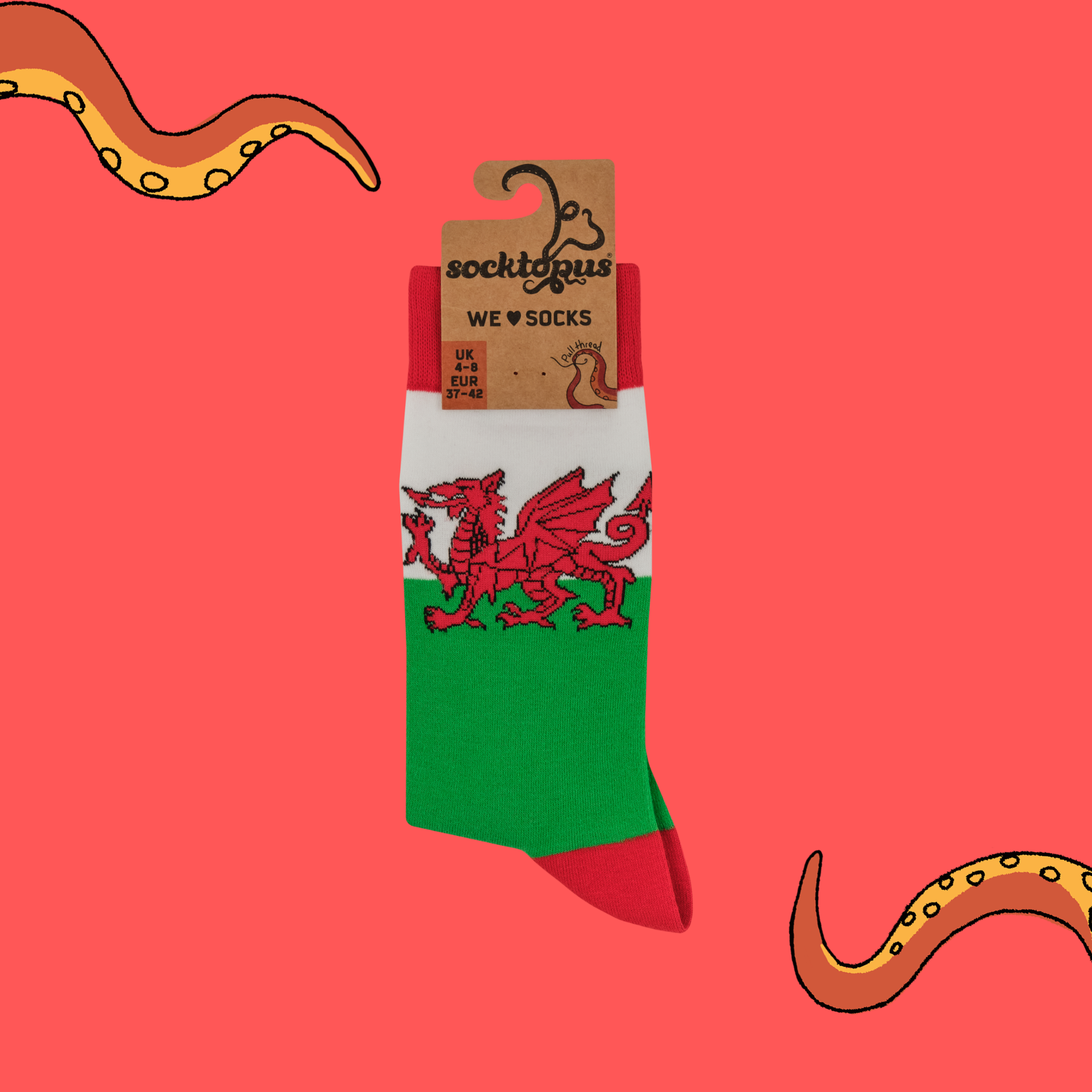 Welsh Flag Socks