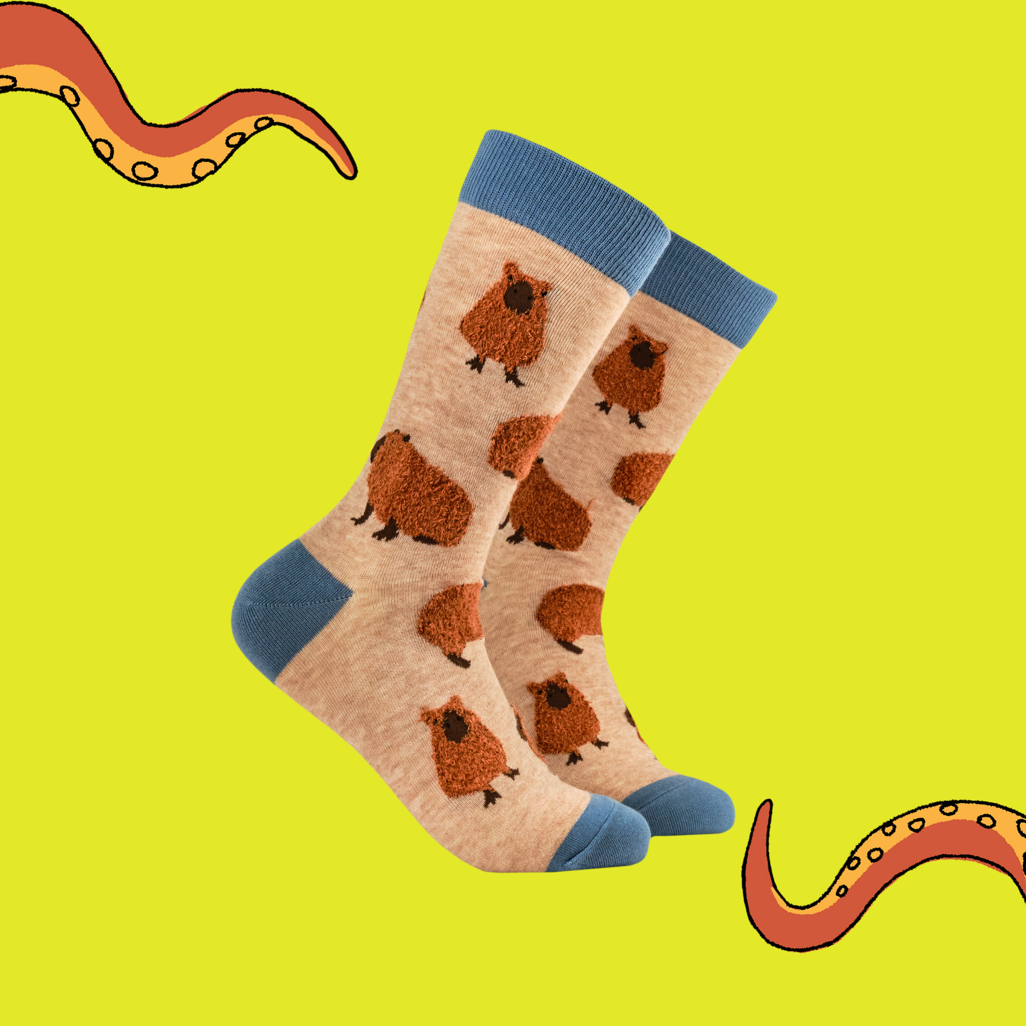 Fluffy Capybara Socks