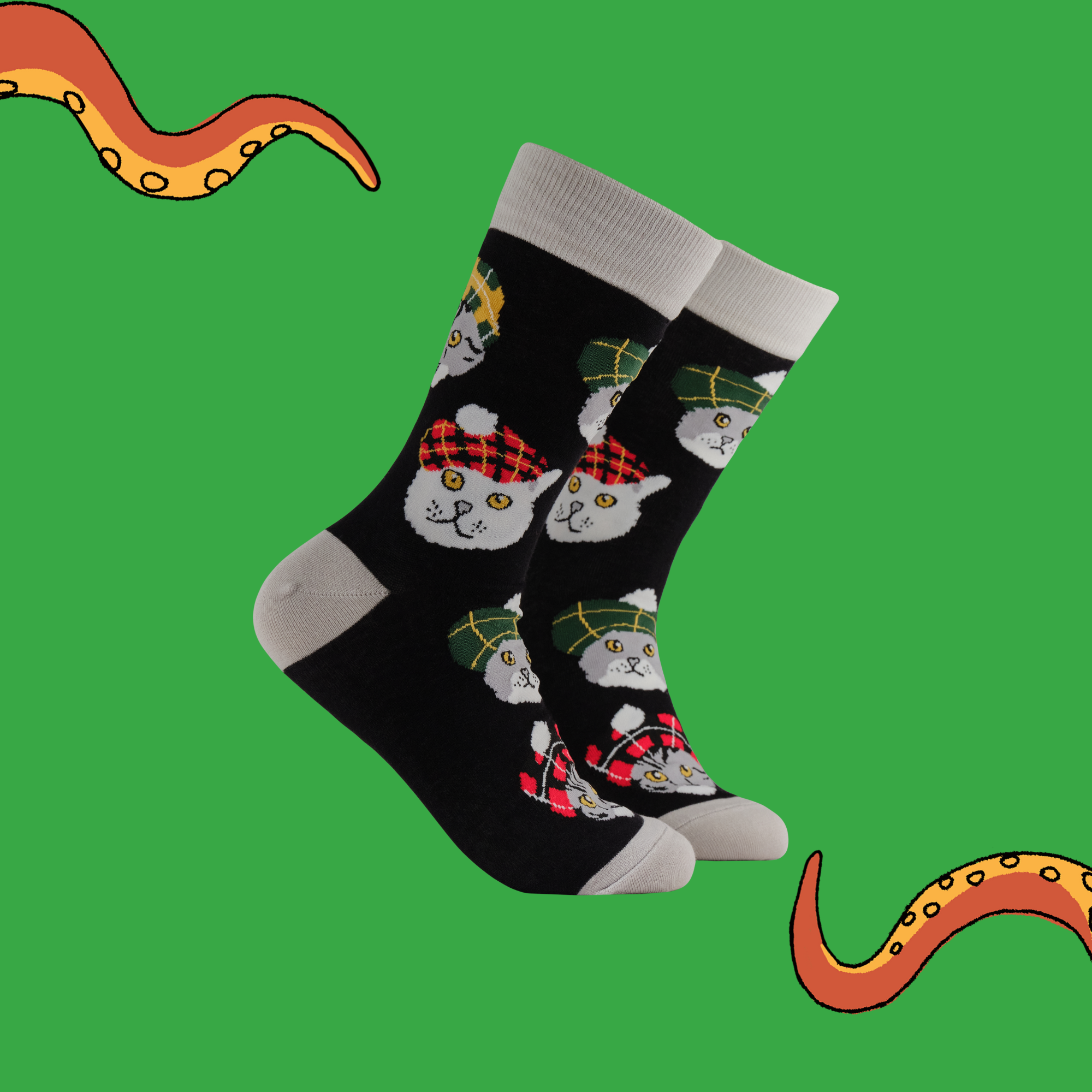 Highland Cats Socks