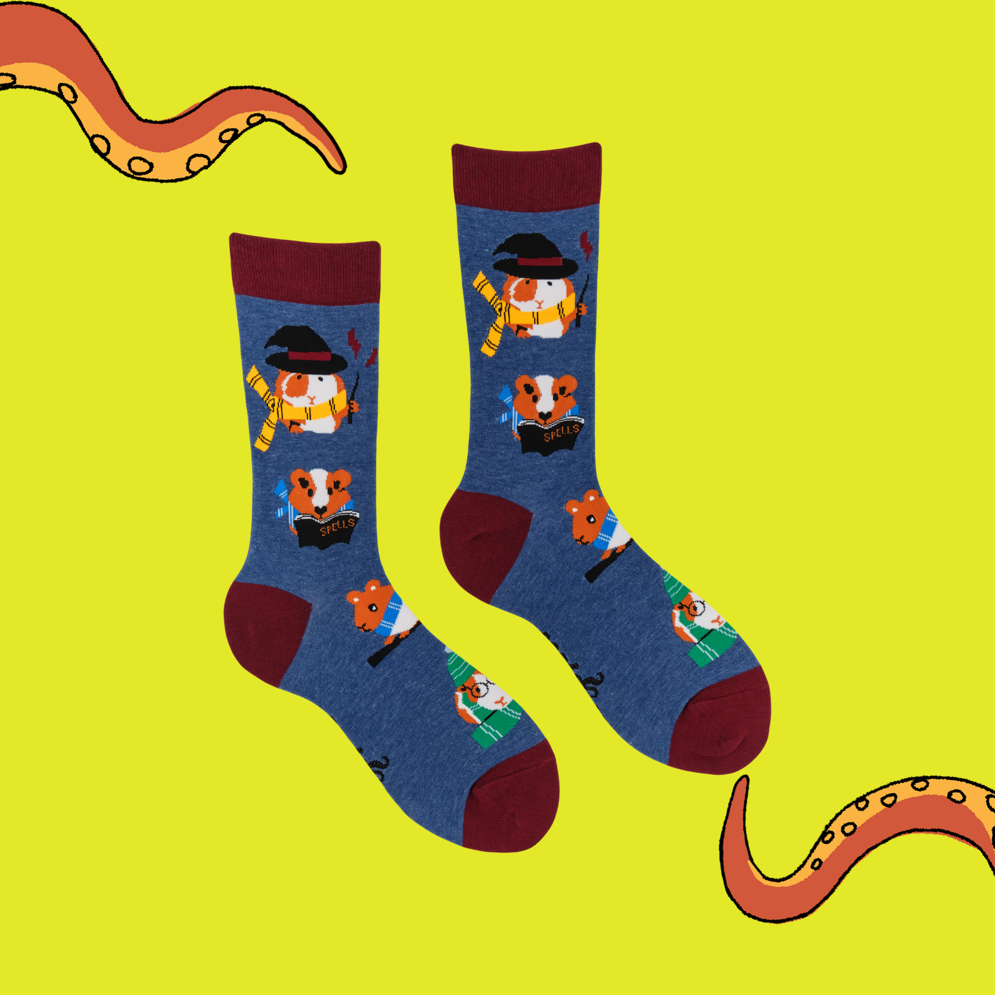 Guinea Pig Harry Potter Socks - Pigardium Leviosa