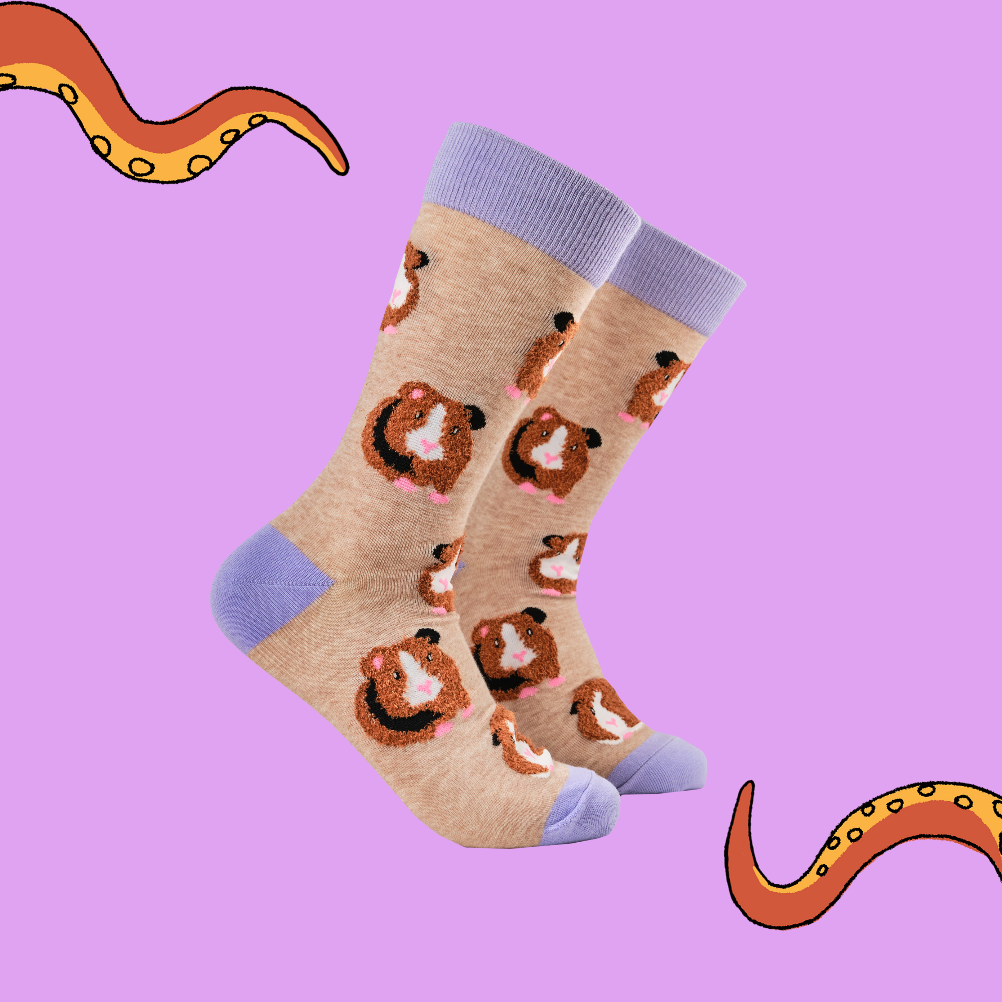 Fluffy Guinea Pigs Socks