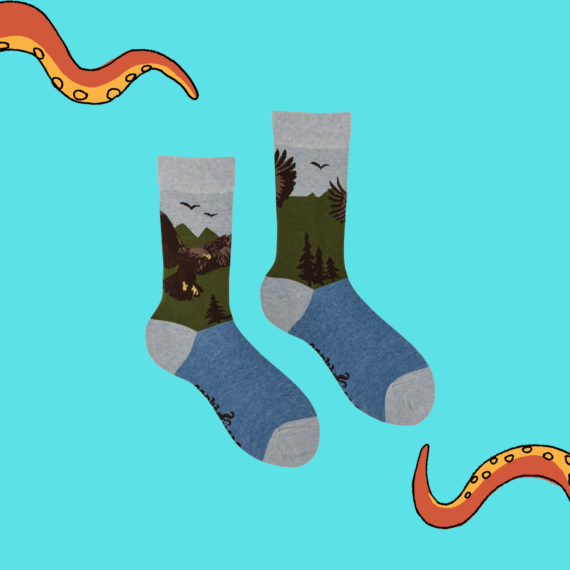Bald Eagle Socks