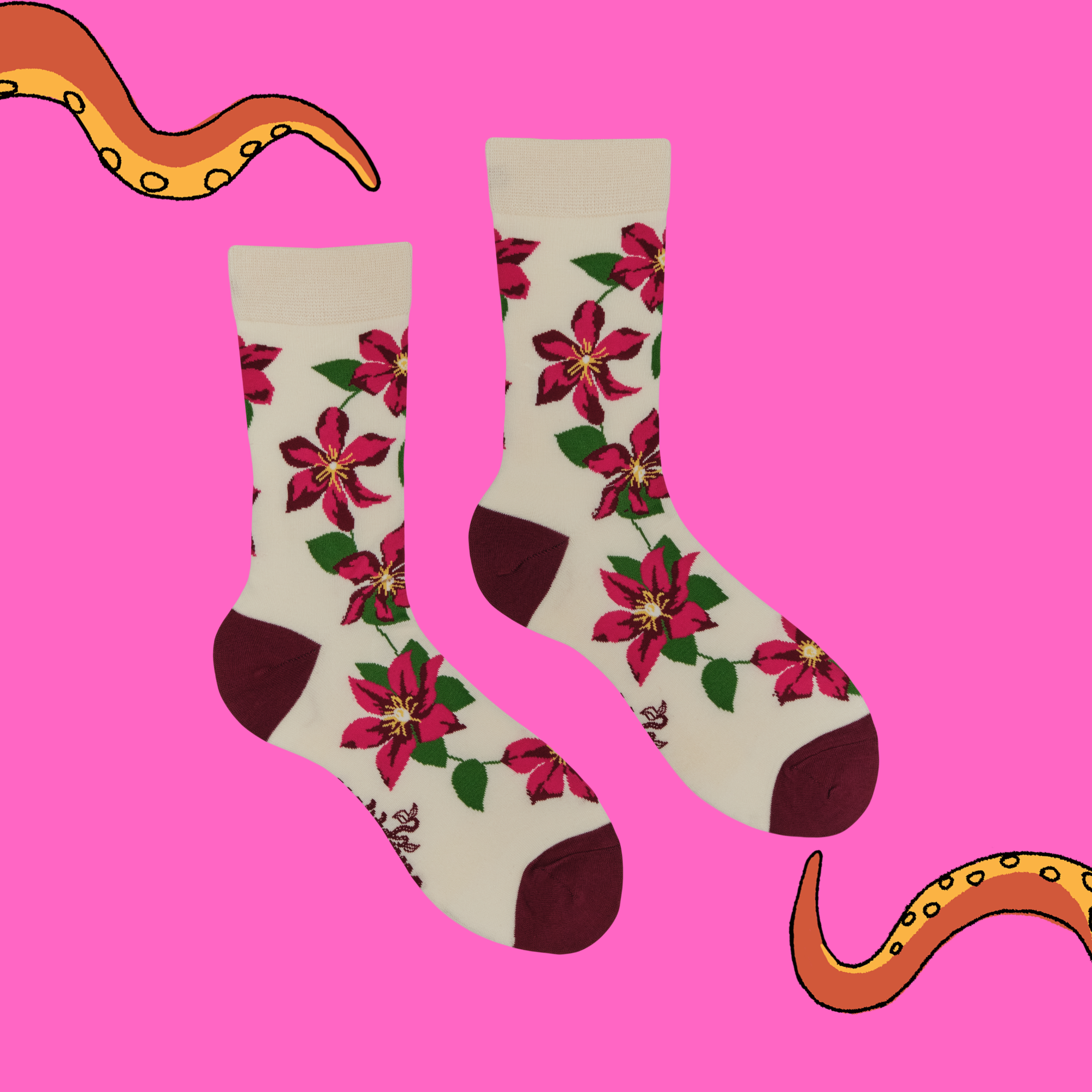 Bamboo Socks - Clema-toes