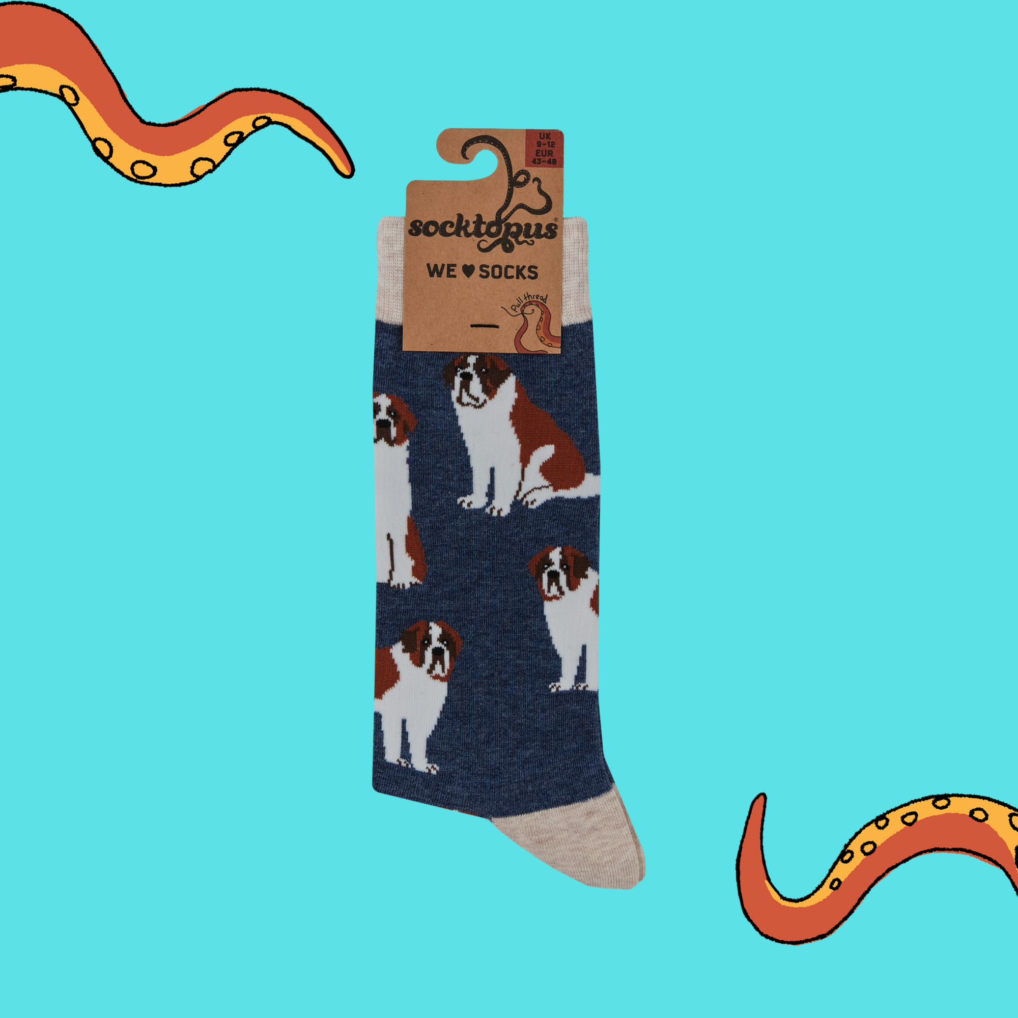 Saint Bernard Dog Socks - Oh When The Saints!