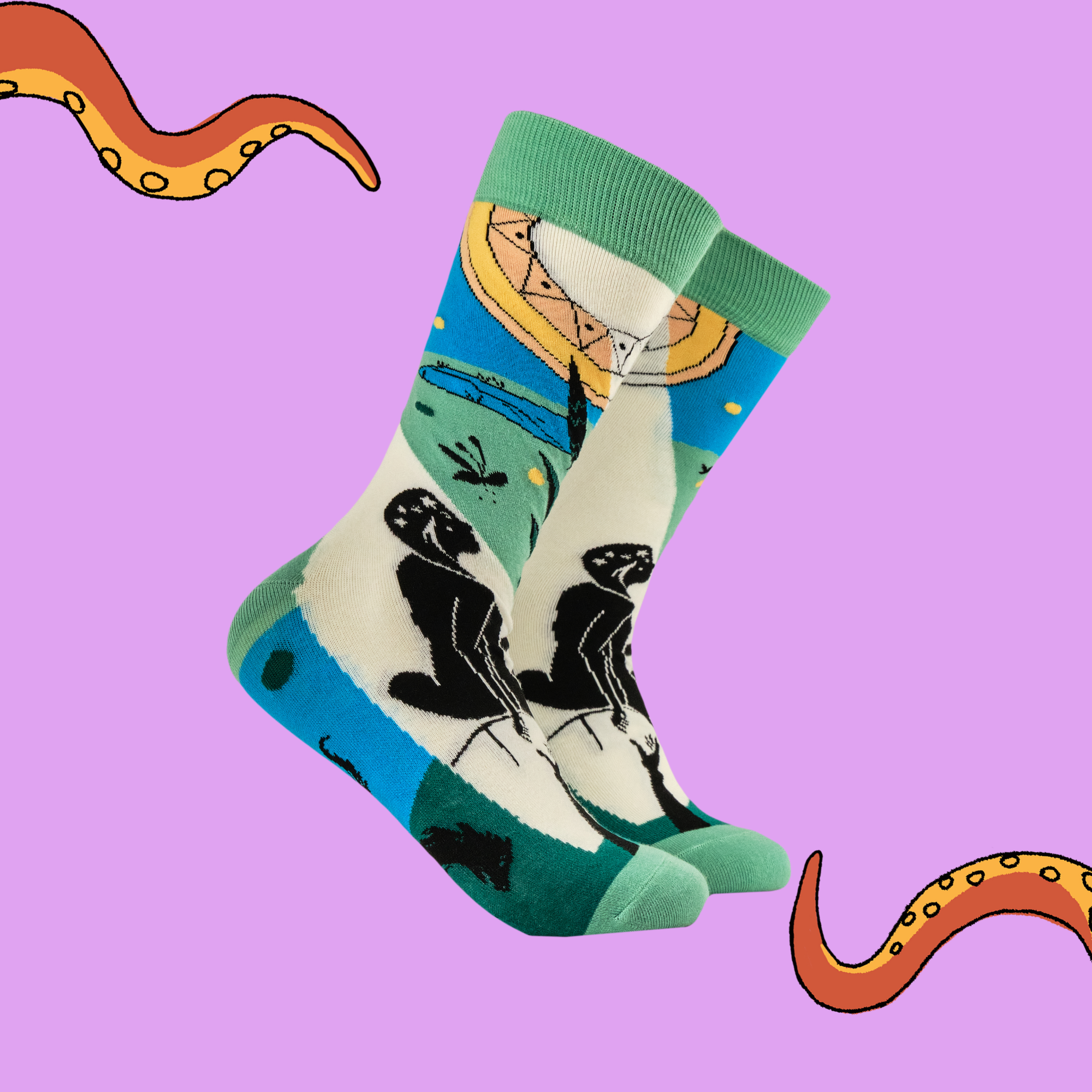 Persephone Socks - Fran Haslam