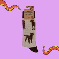 Chocolate Spaniel Socks - Span au Chocolat