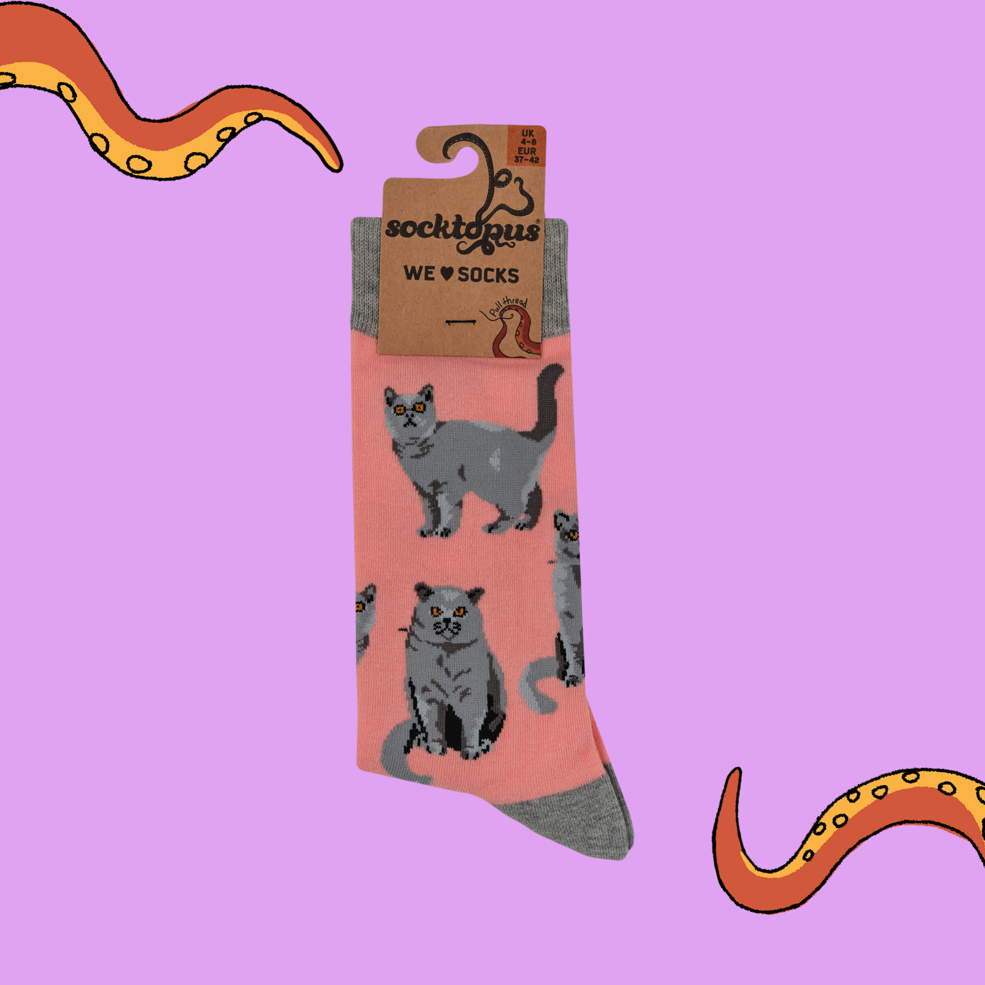 British Shorthair Cat Socks - Short Hair Don't Care