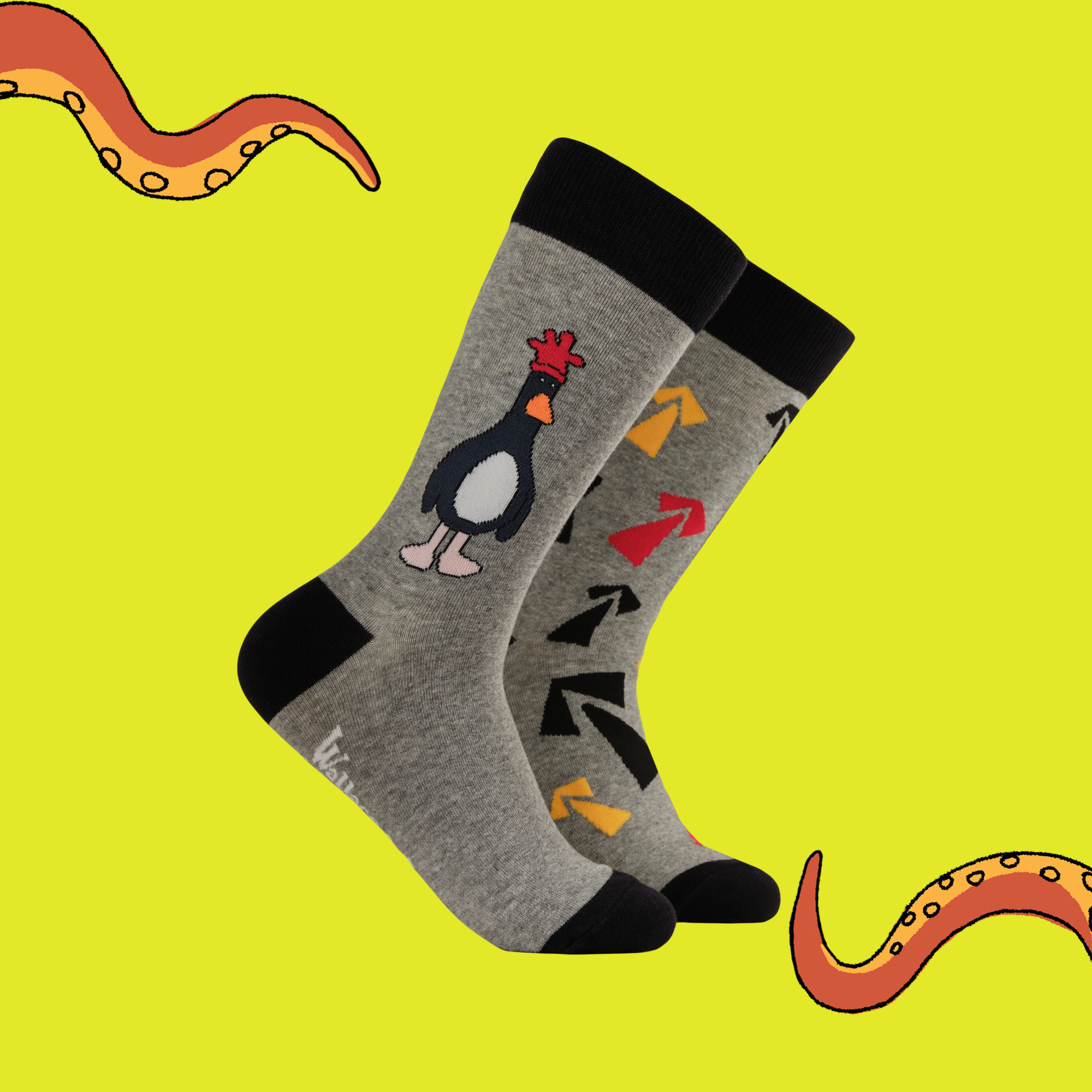 Break Out Feathers Socks - Wallace and Gromit