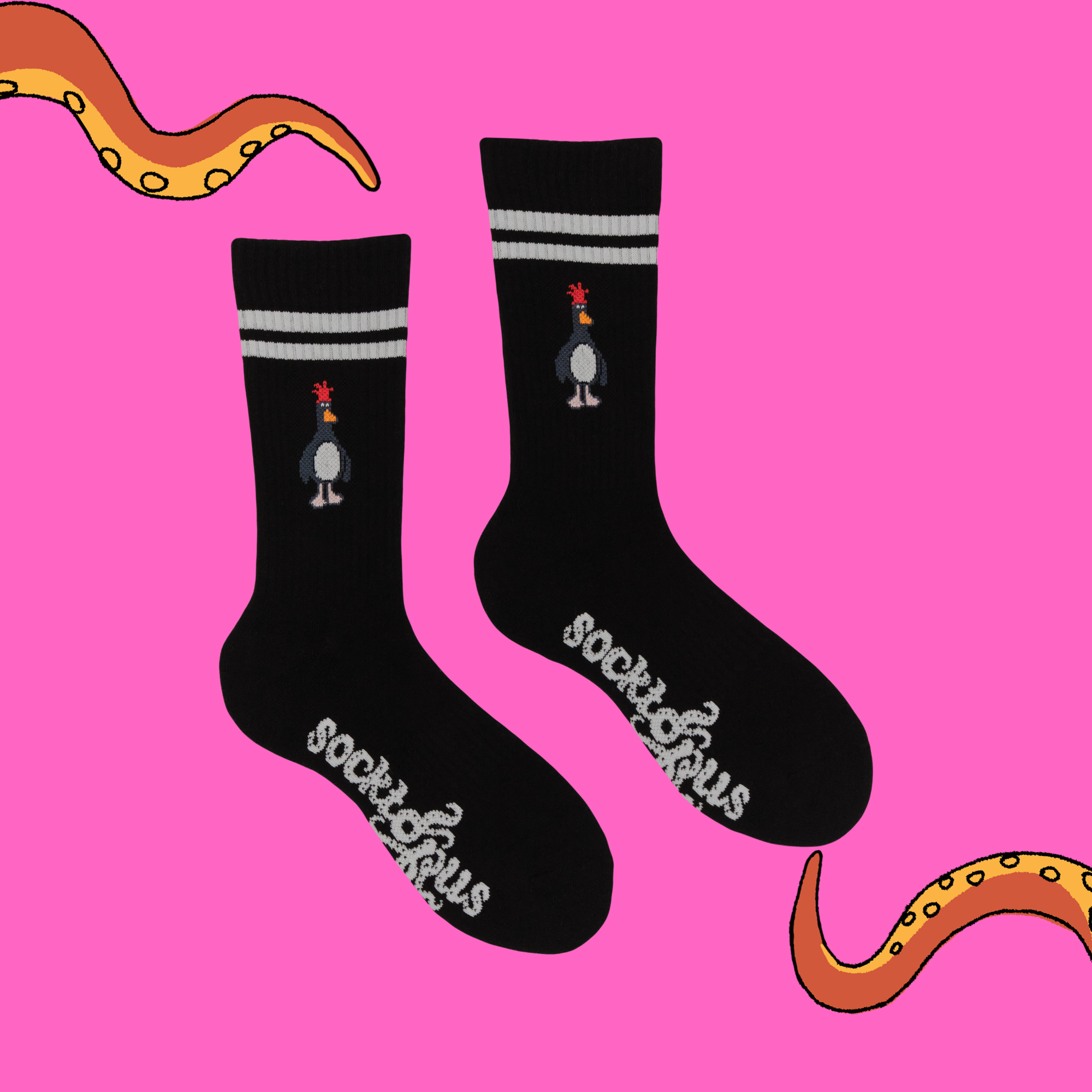 Feathers McGraw Athletic Socks - Wallace and Gromit