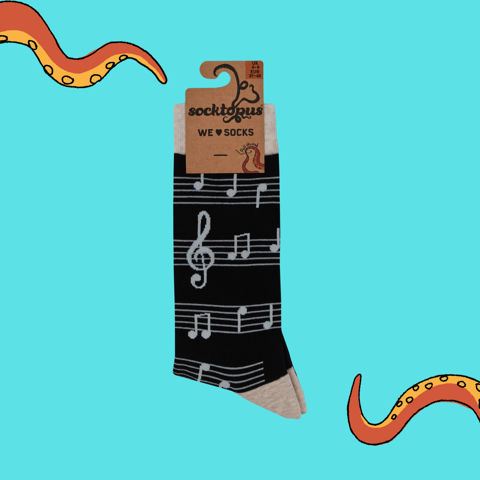 Music Socks - Footnotes