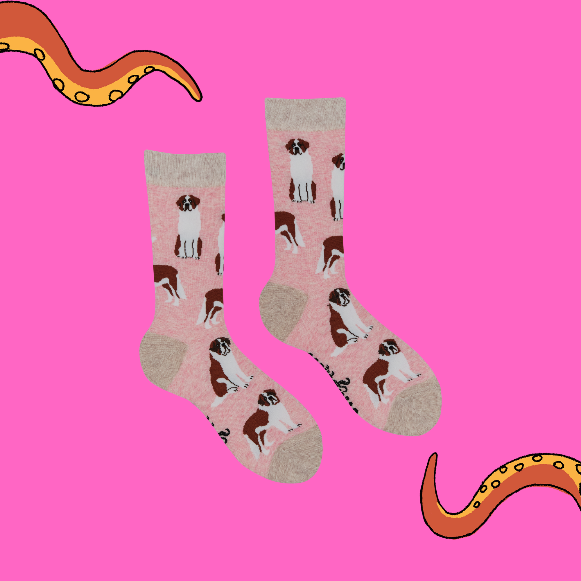 Saint Bernard Dog Socks - Oh When The Saints!