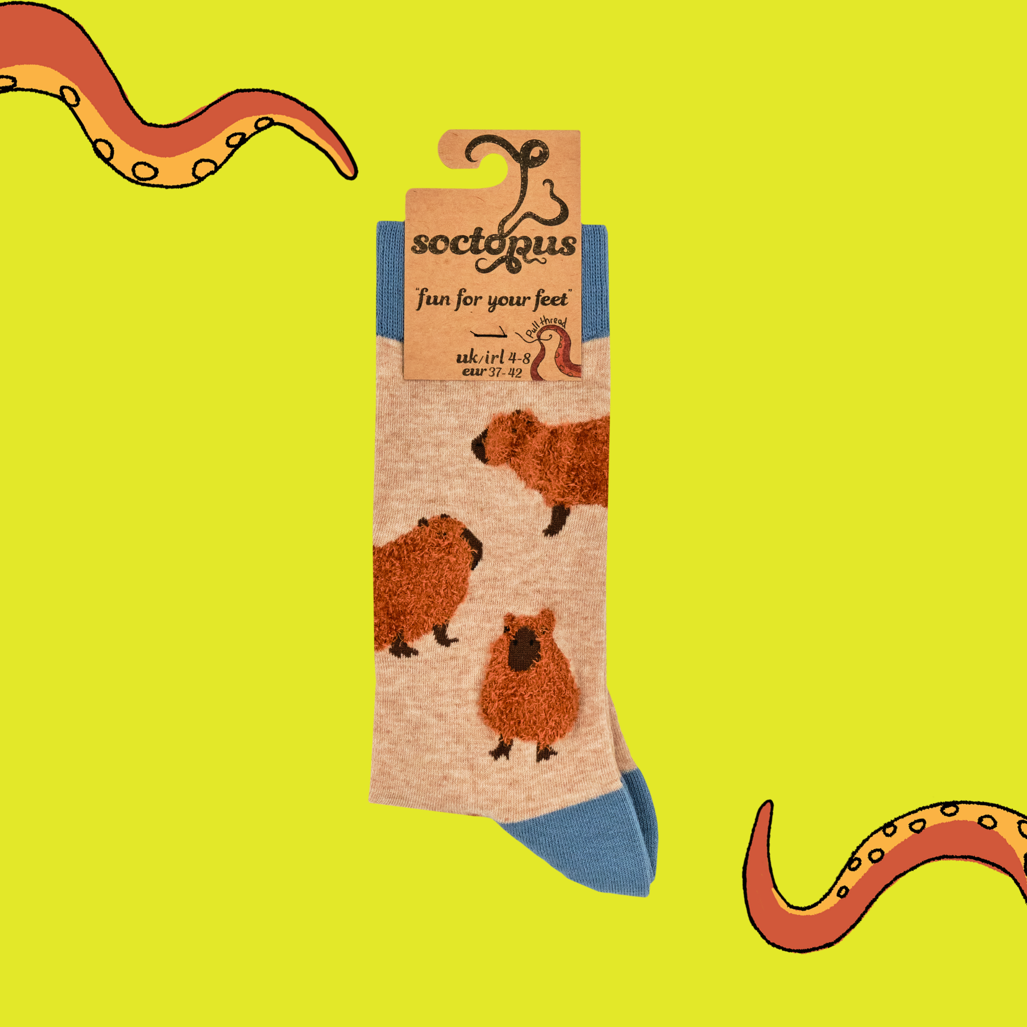 Fluffy Capybara Socks