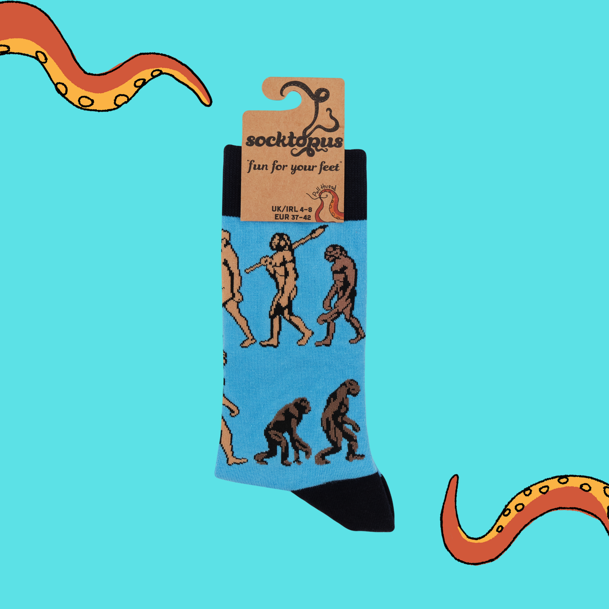 Science Socks - Theory of Evolution