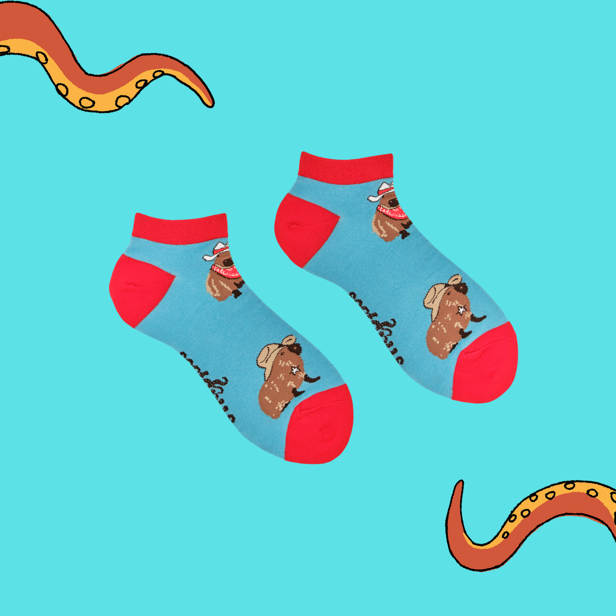 Cowboy Capybara Trainer Socks
