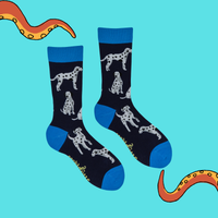 Dalmatian Socks - Spot The Difference
