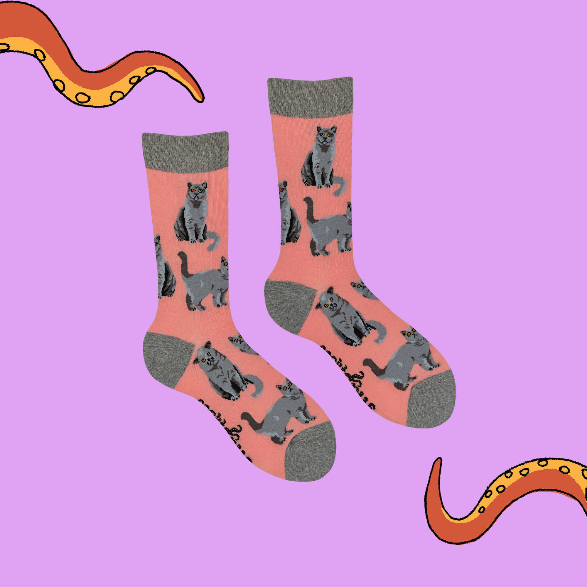 British Shorthair Cat Socks - Short Hair Don't Care