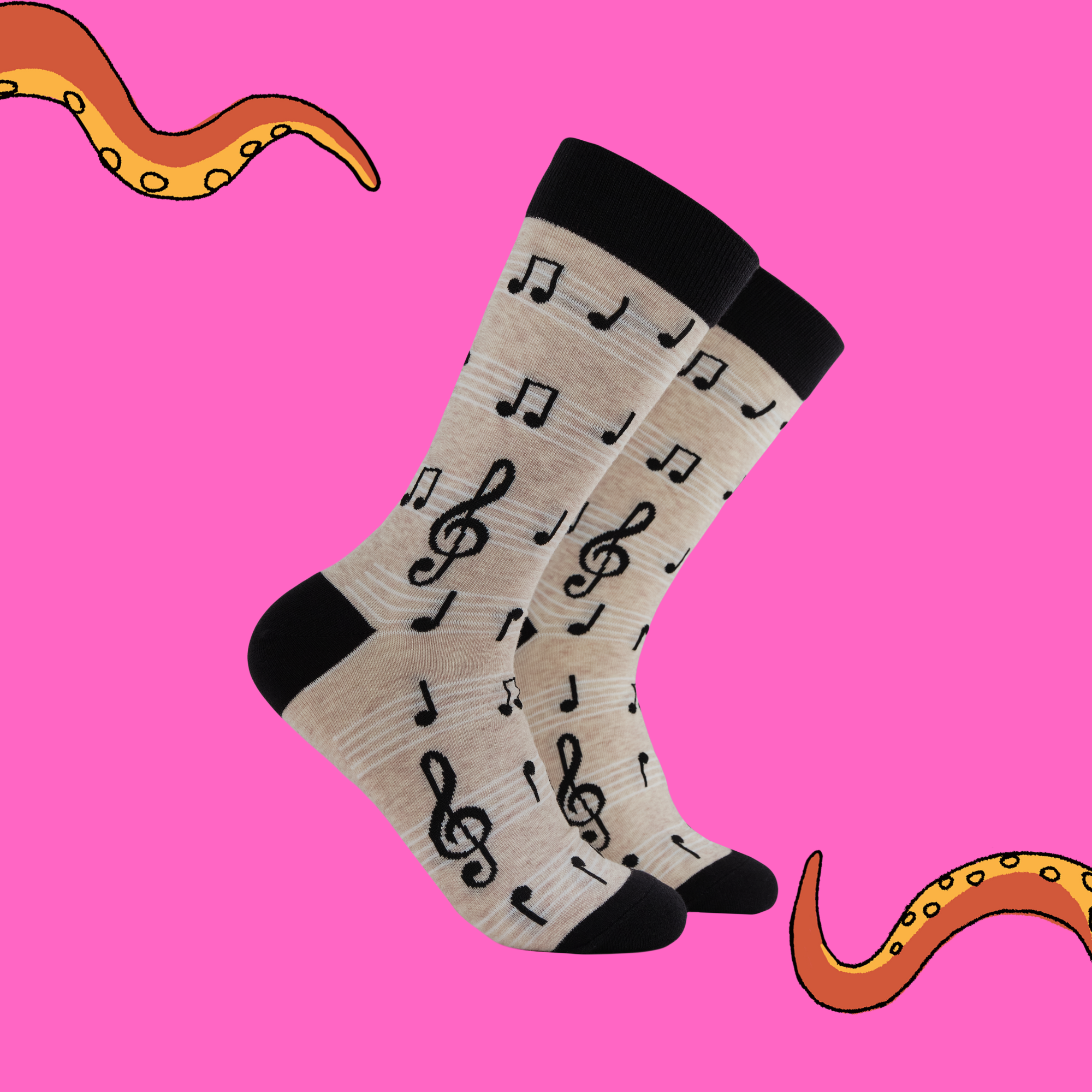 Music Socks - Footnotes