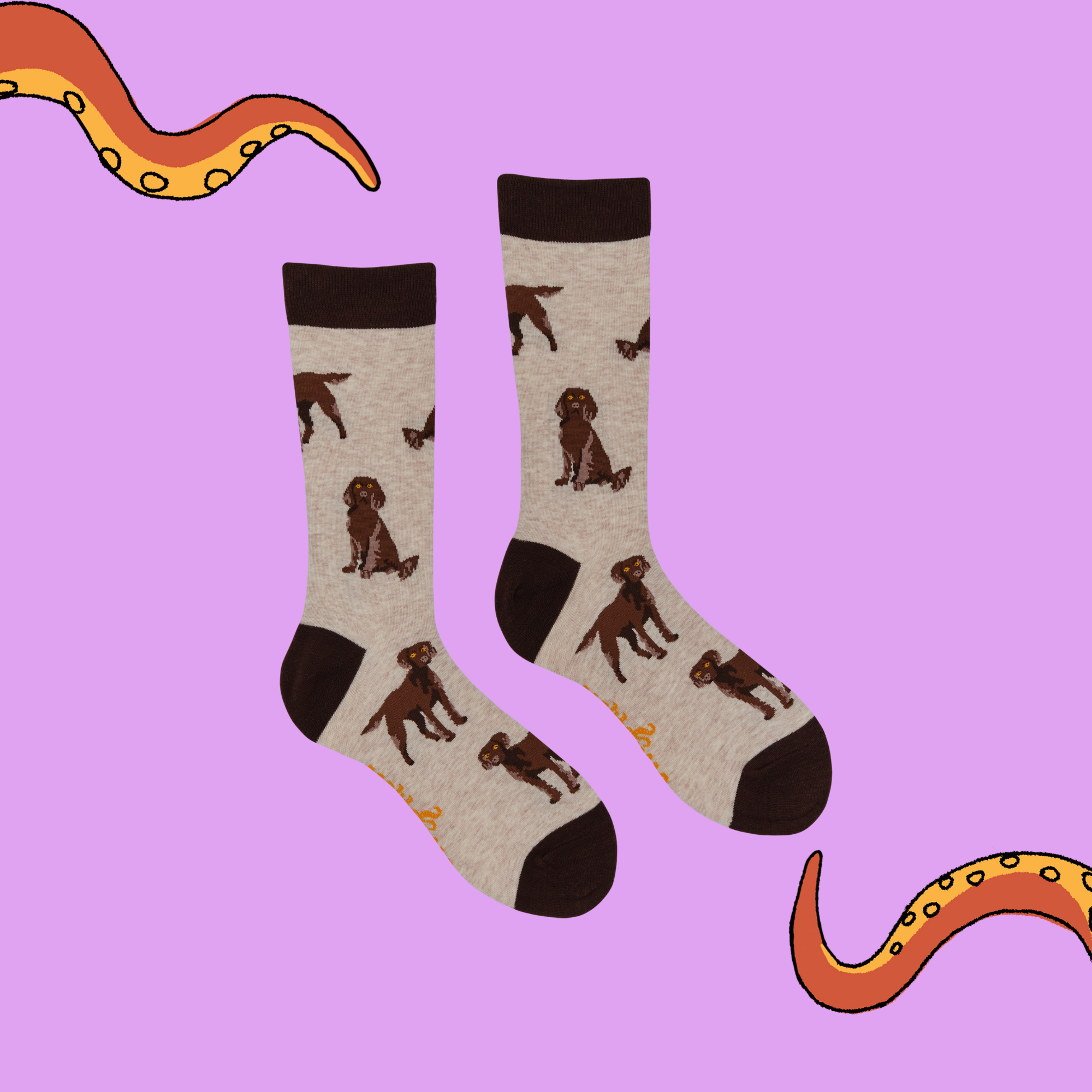 Chocolate Spaniel Socks - Span au Chocolat