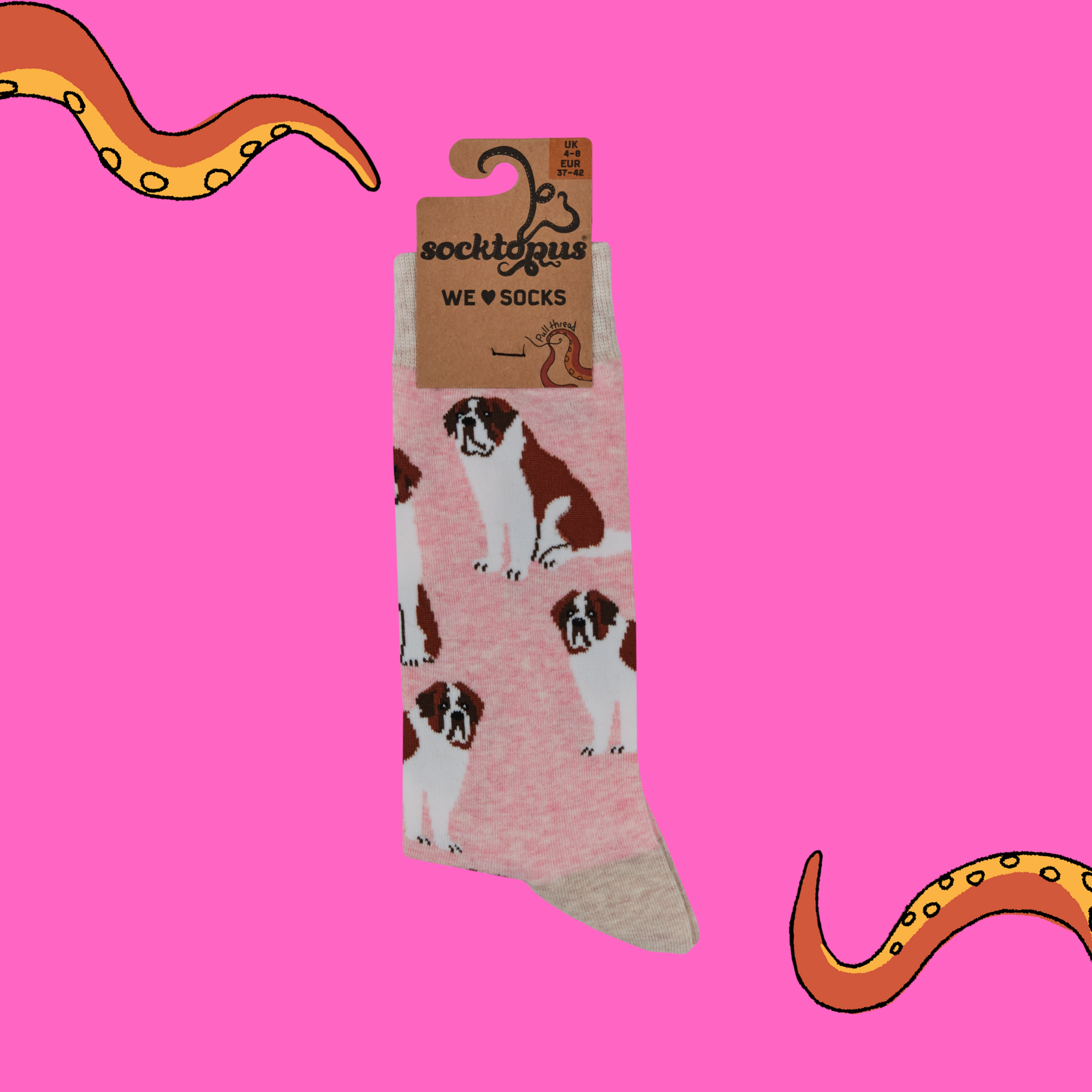 Saint Bernard Dog Socks - Oh When The Saints!