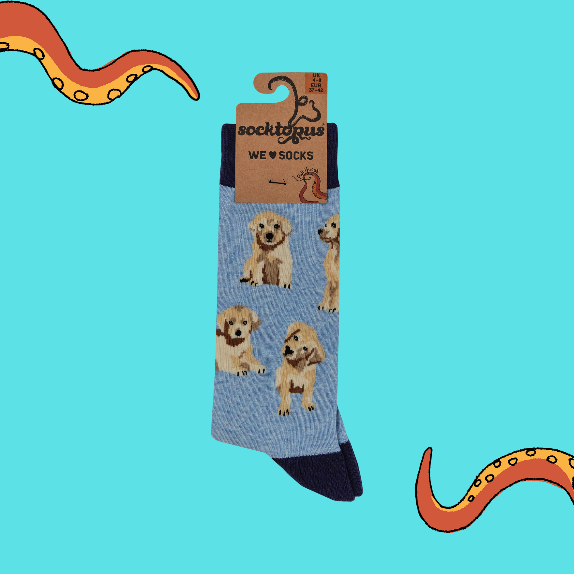 Puppy Love Socks