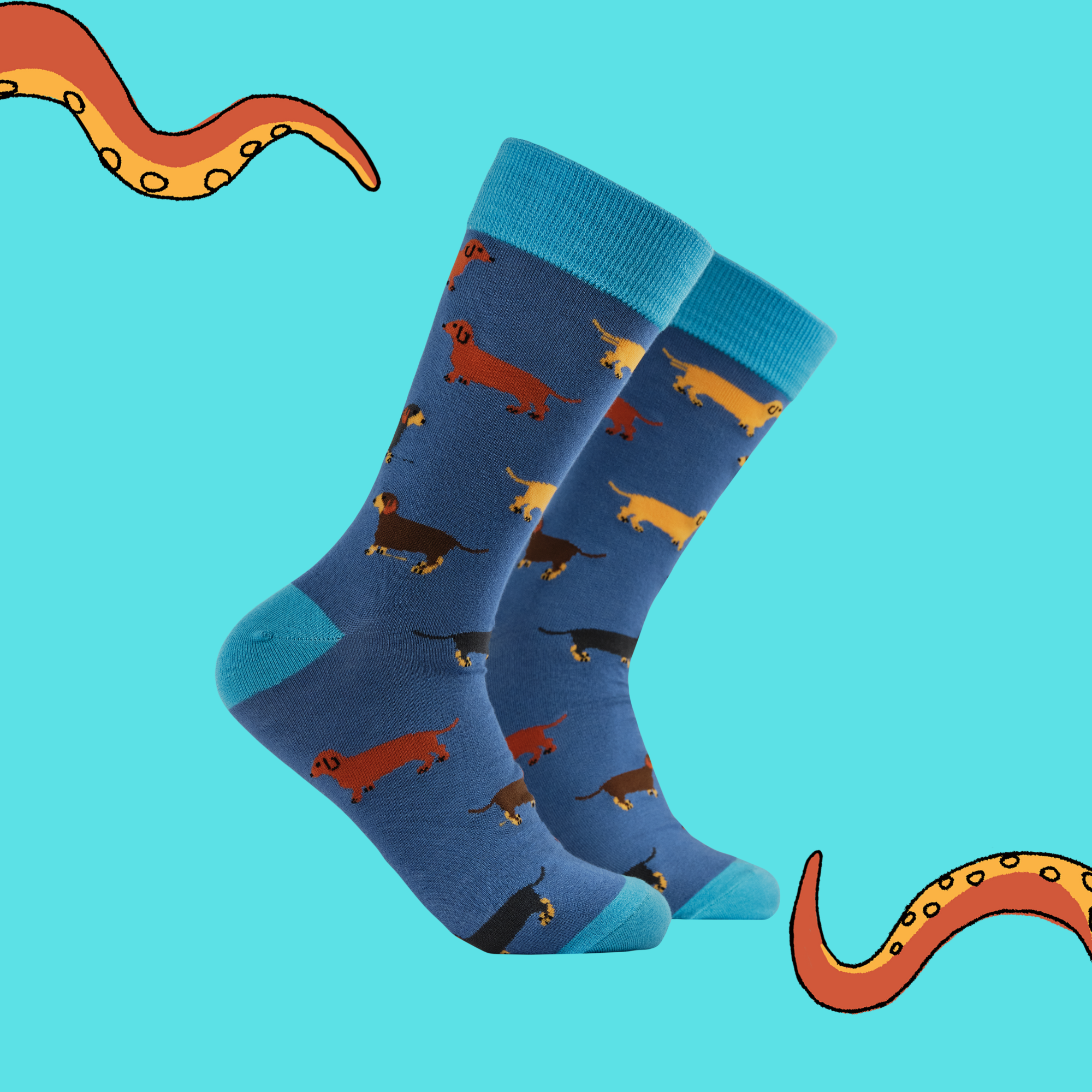 Dachshund Bamboo Socks - Dasch Stash