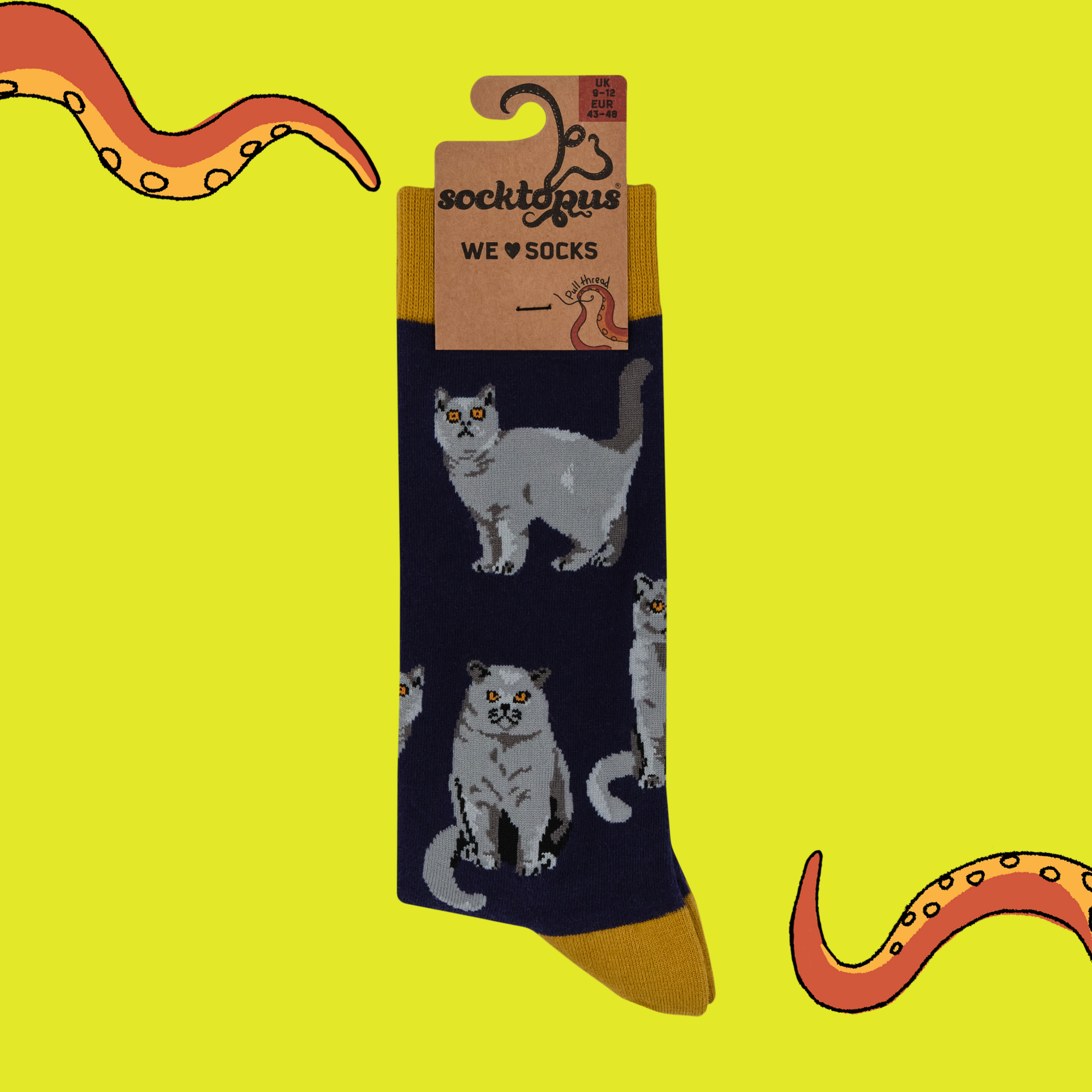 British Shorthair Cat Socks - Short Hair Don't Care