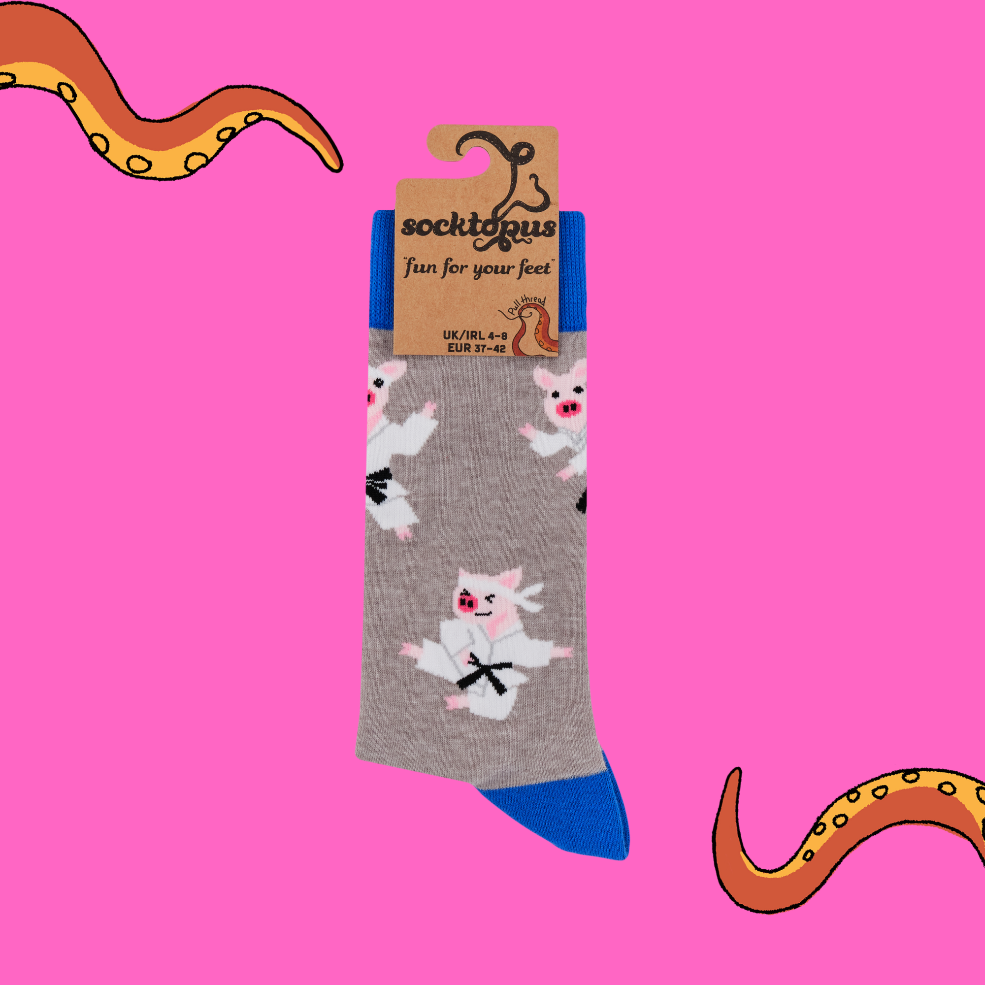 Karate Pig Socks - Pork Chop