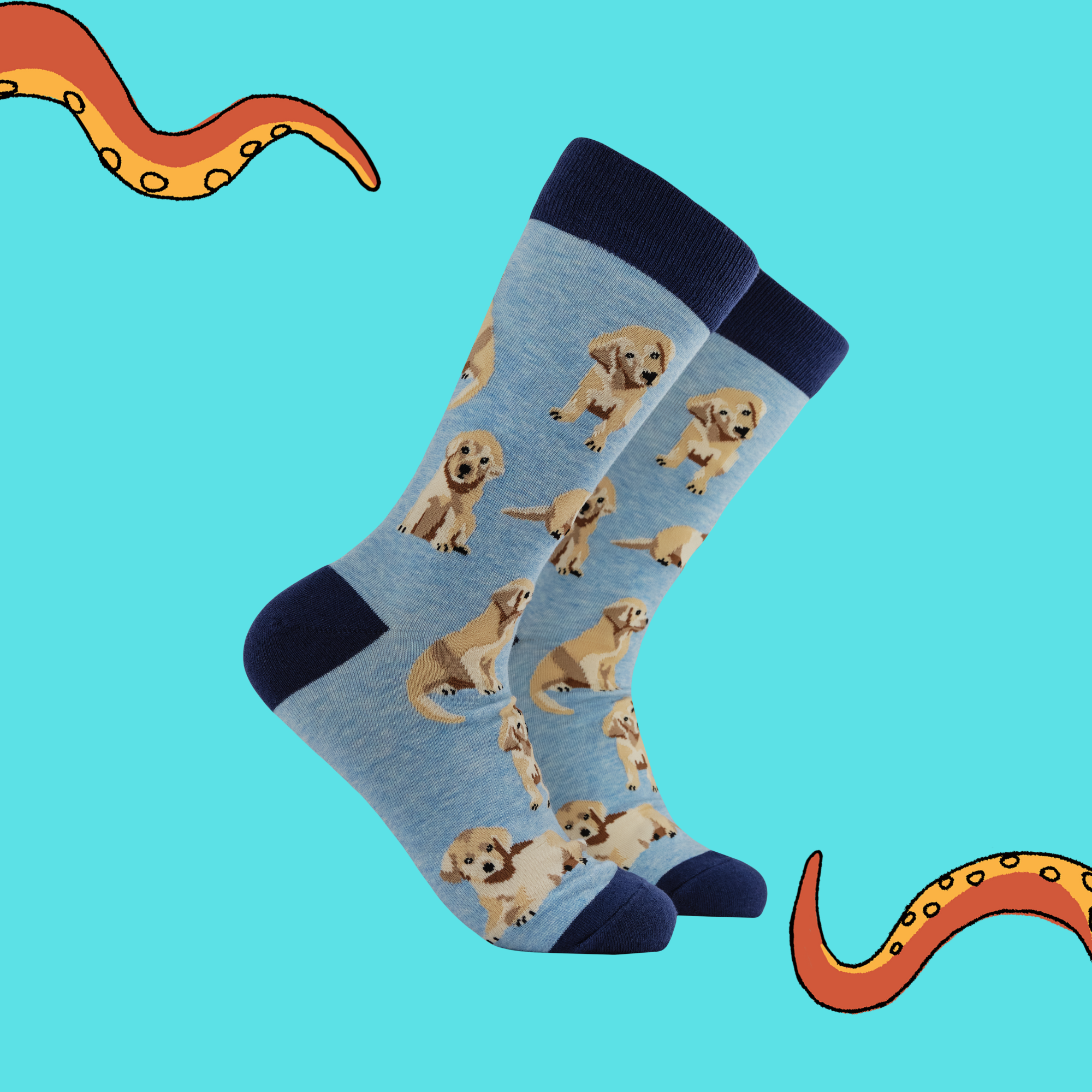 Puppy Love Socks