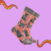 British Shorthair Cat Socks - Short Hair Don't Care