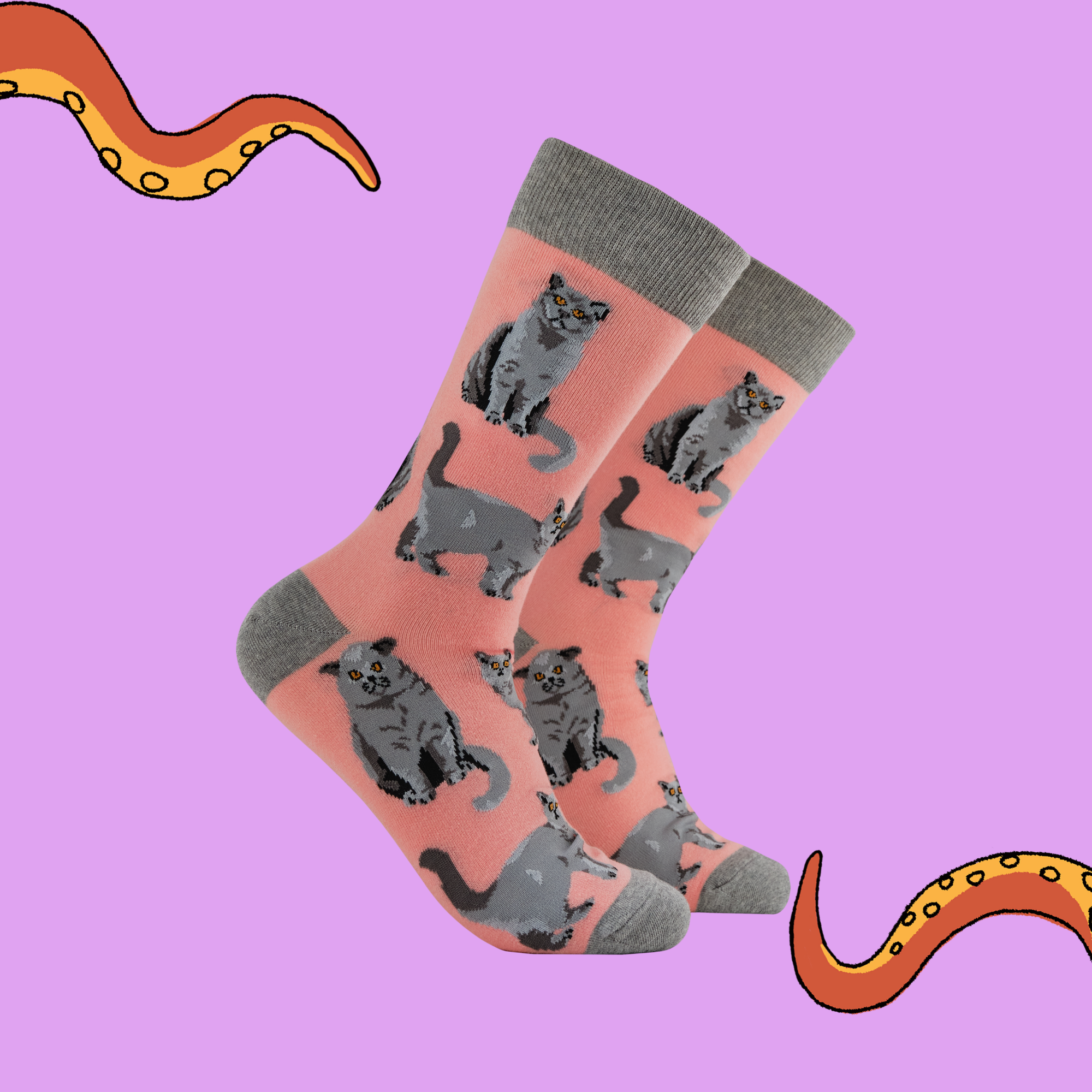 British Shorthair Cat Socks - Short Hair Don't Care