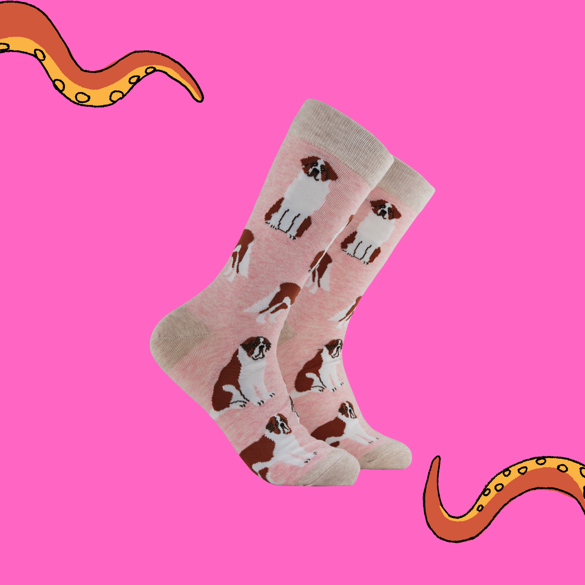 Saint Bernard Dog Socks - Oh When The Saints!