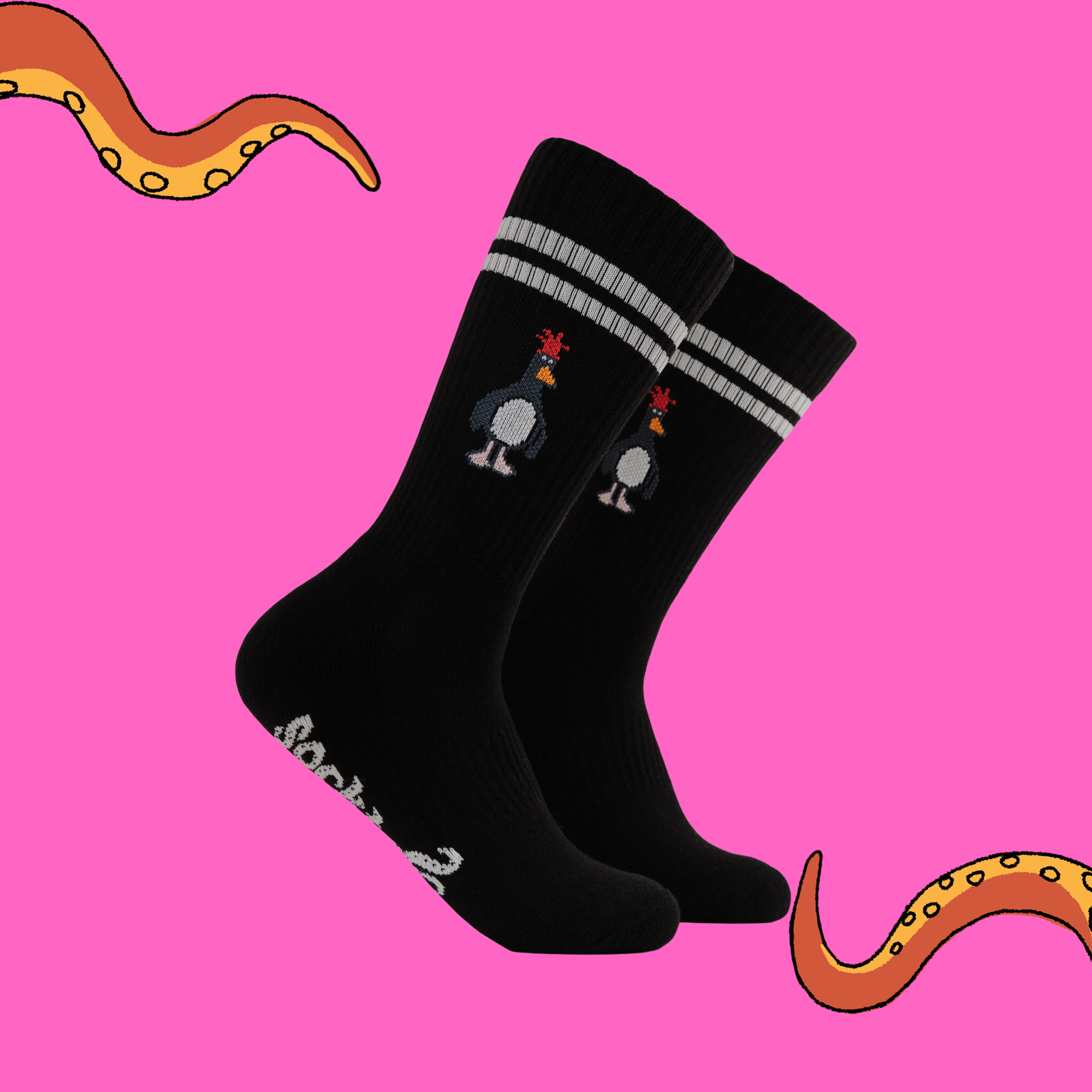 Feathers McGraw Athletic Socks - Wallace and Gromit