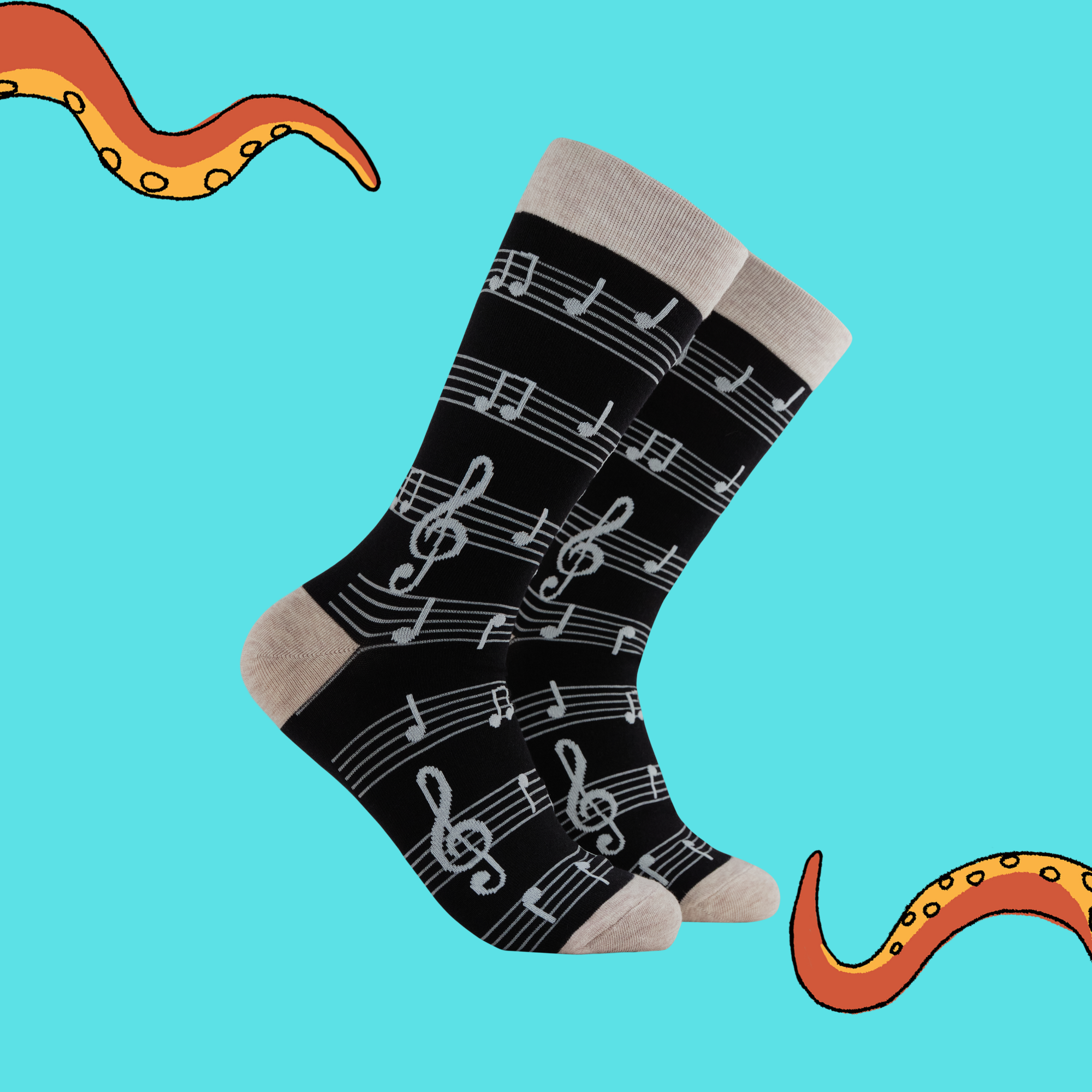 Music Socks - Footnotes