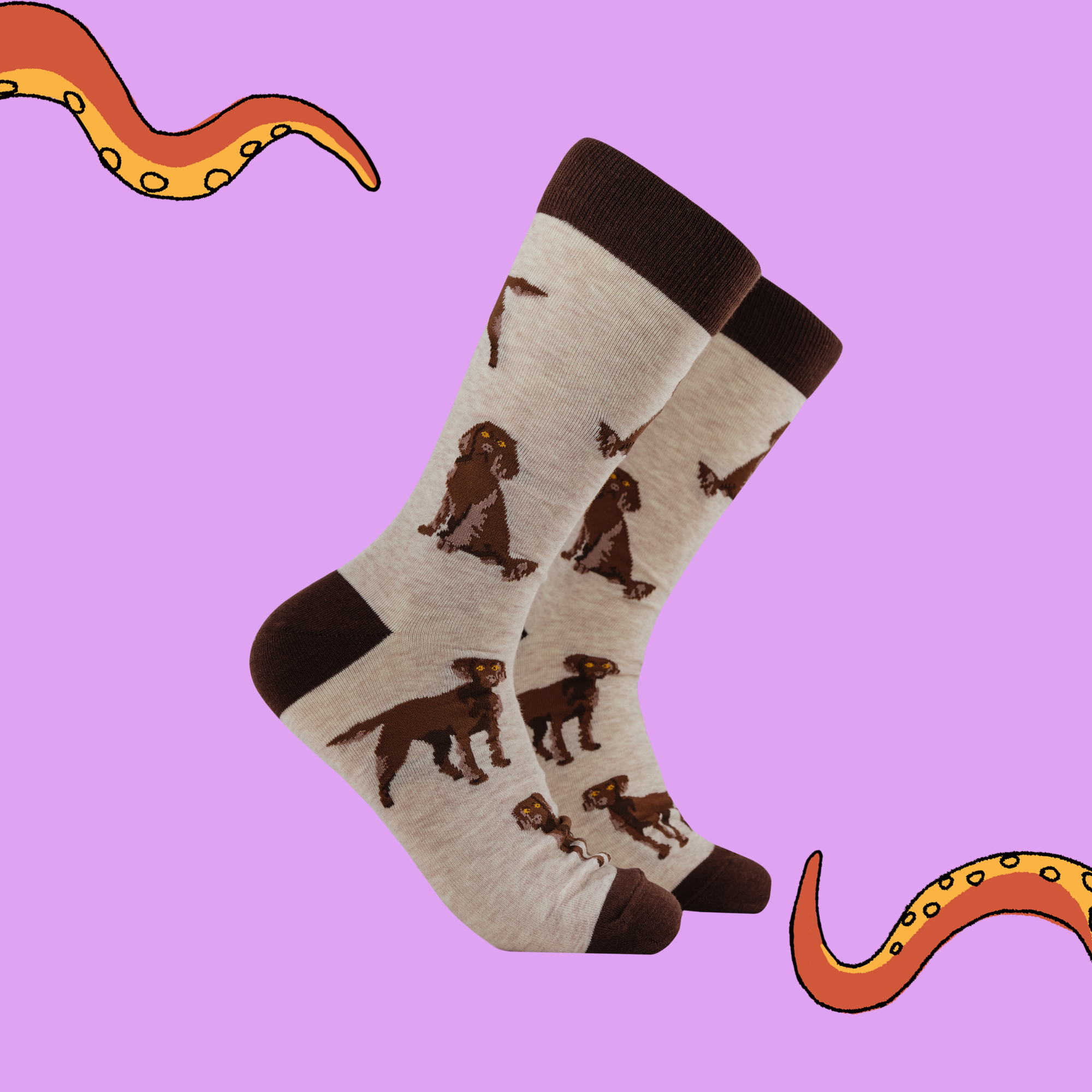 Chocolate Spaniel Socks - Span au Chocolat