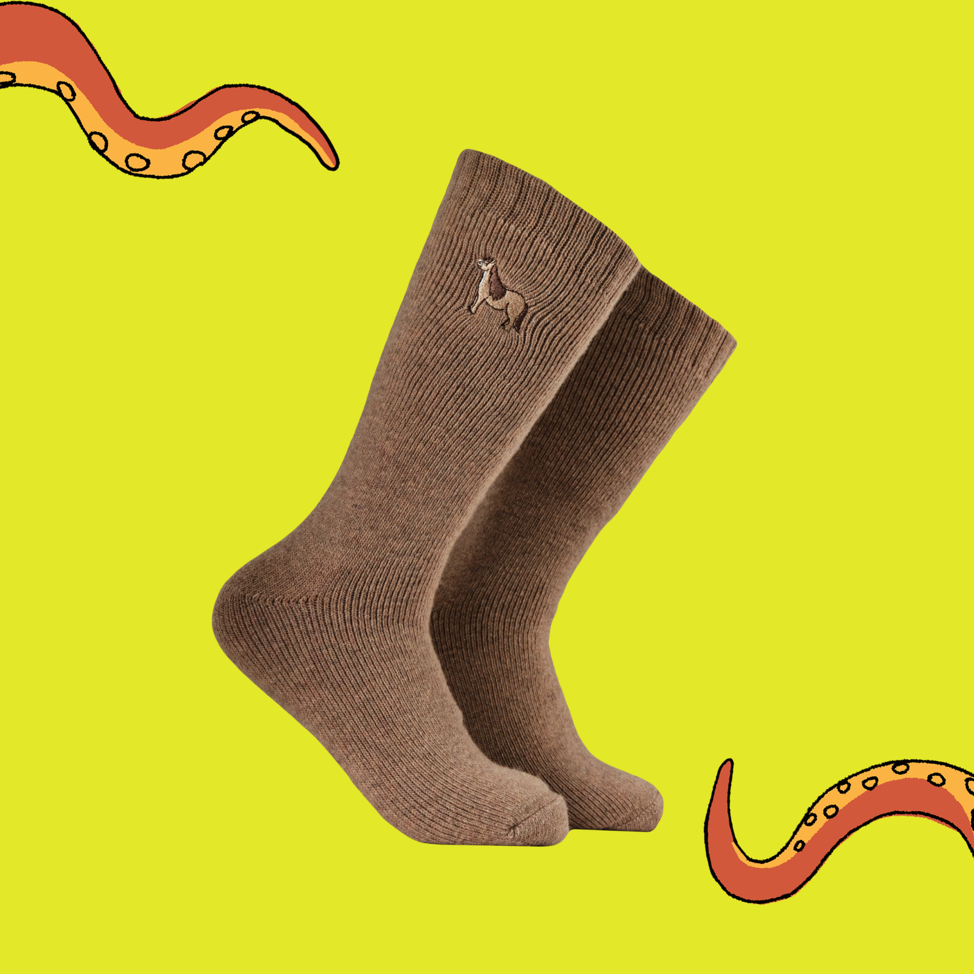 Pony Embroidered Boot Socks