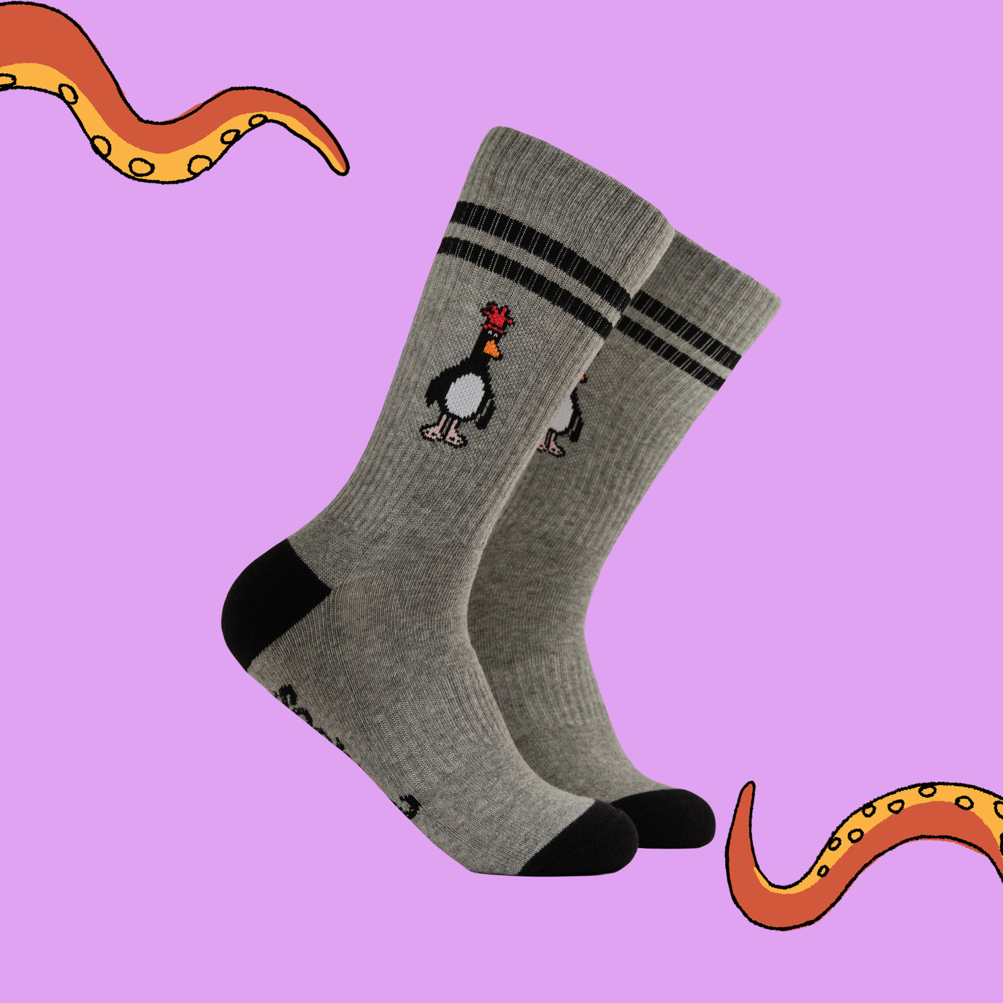 Feathers McGraw Athletic Socks - Wallace and Gromit