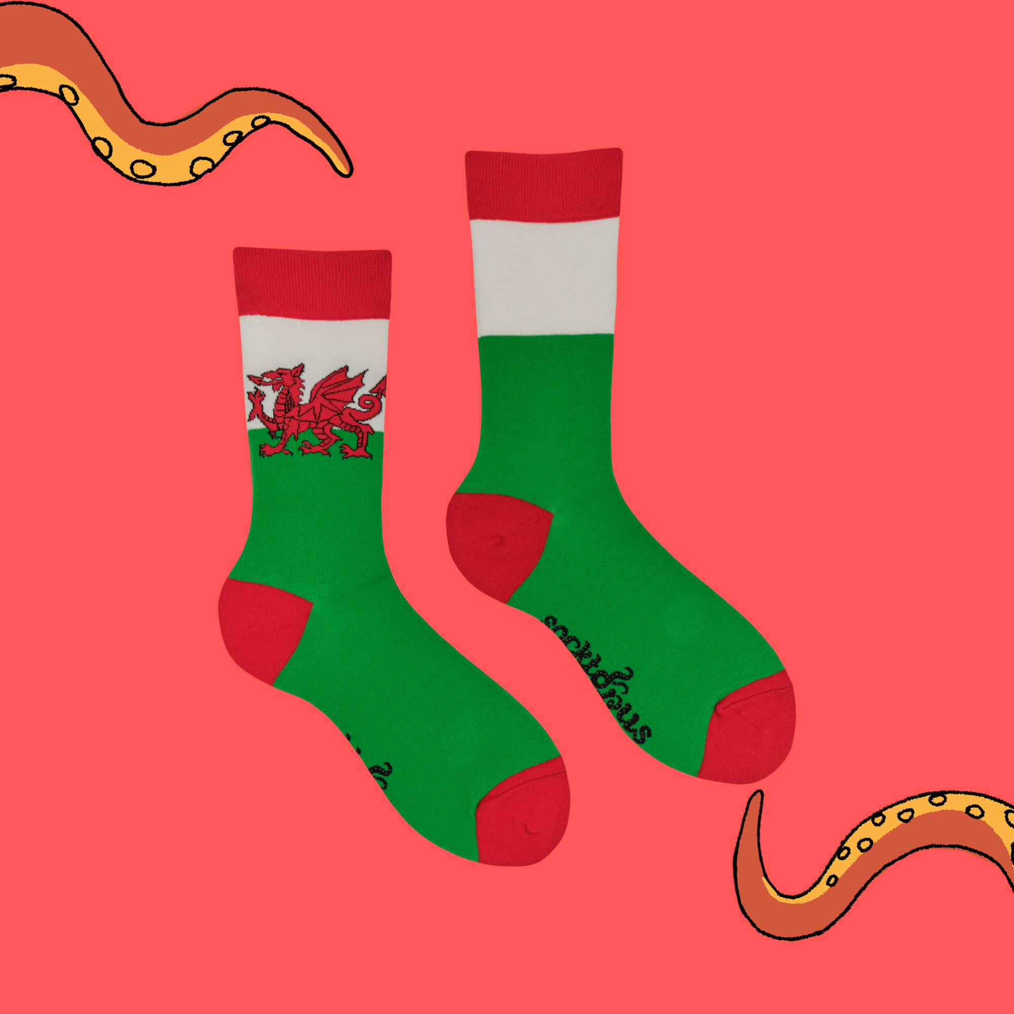 Welsh Flag Socks