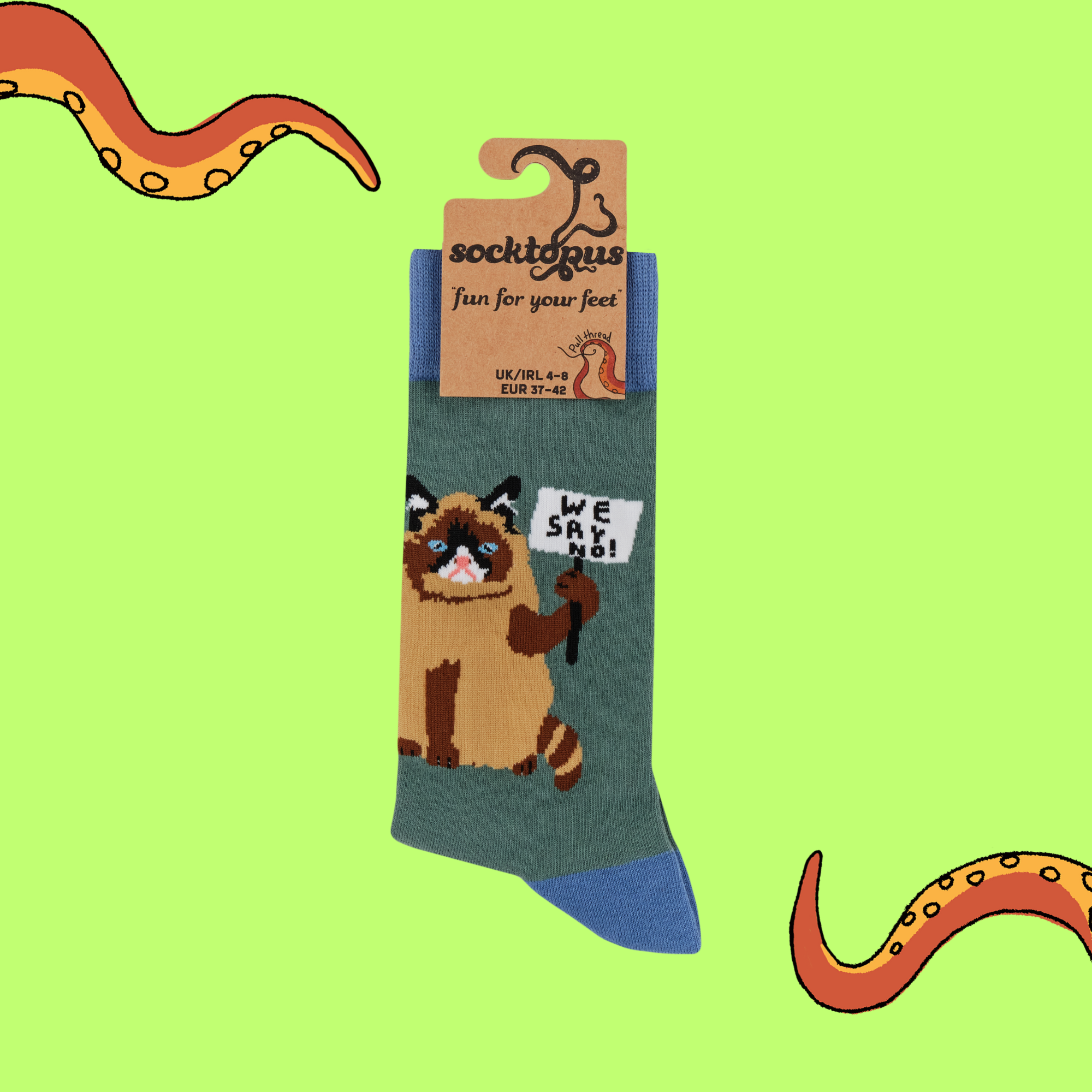 Cat Socks - Cat-itude