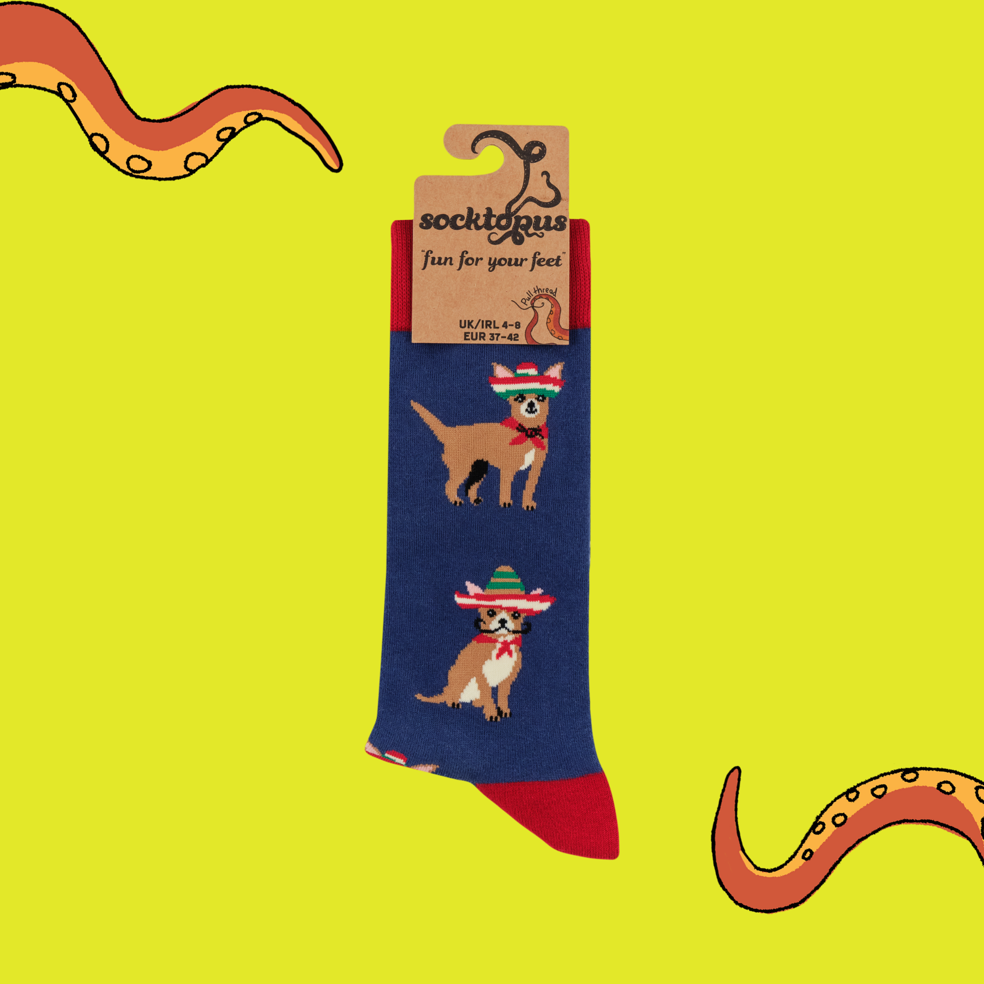 Chihuahua Socks - Pico de Chihuahuo