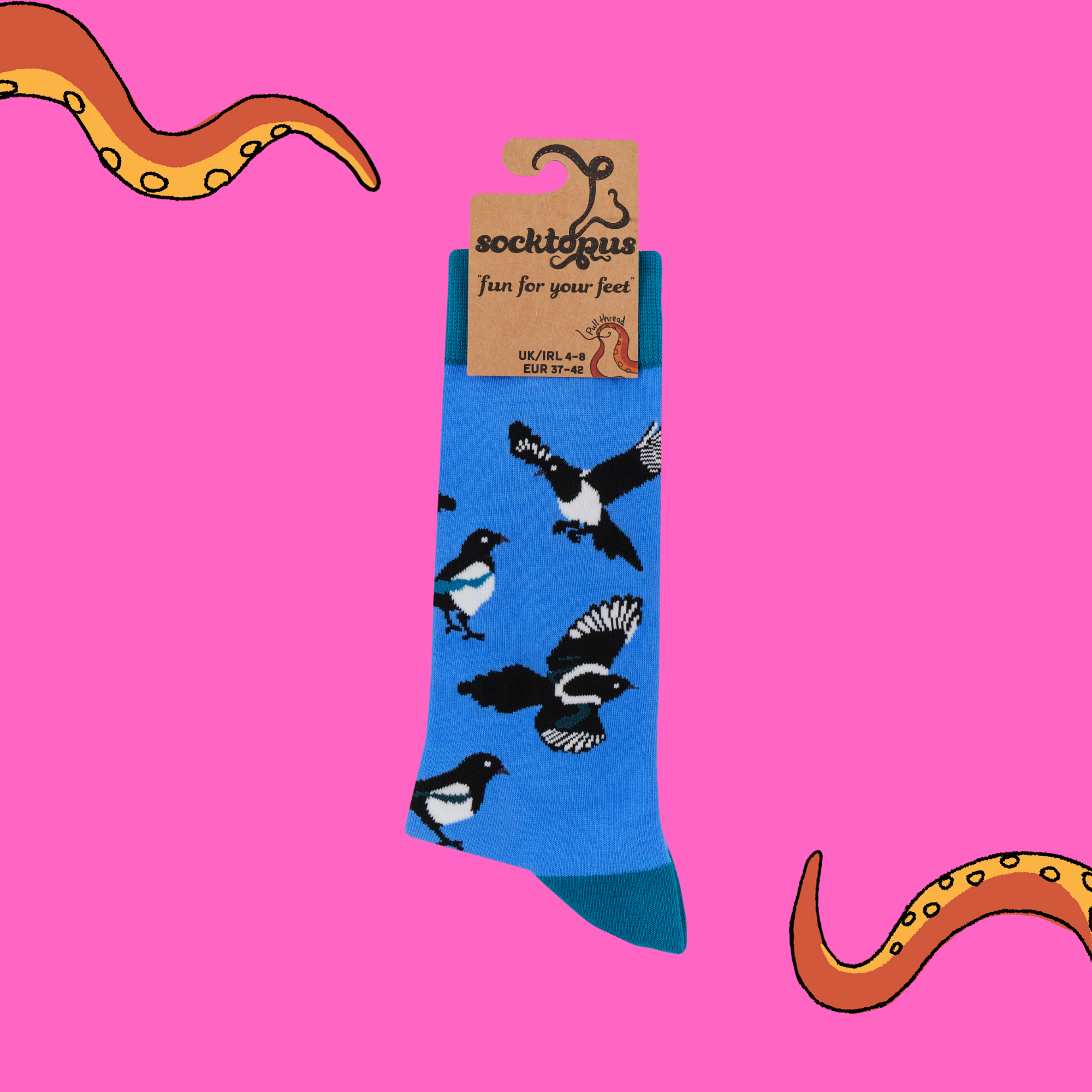 Magpies Socks