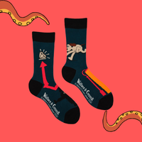 Wrong Trousers Socks - Wallace and Gromit