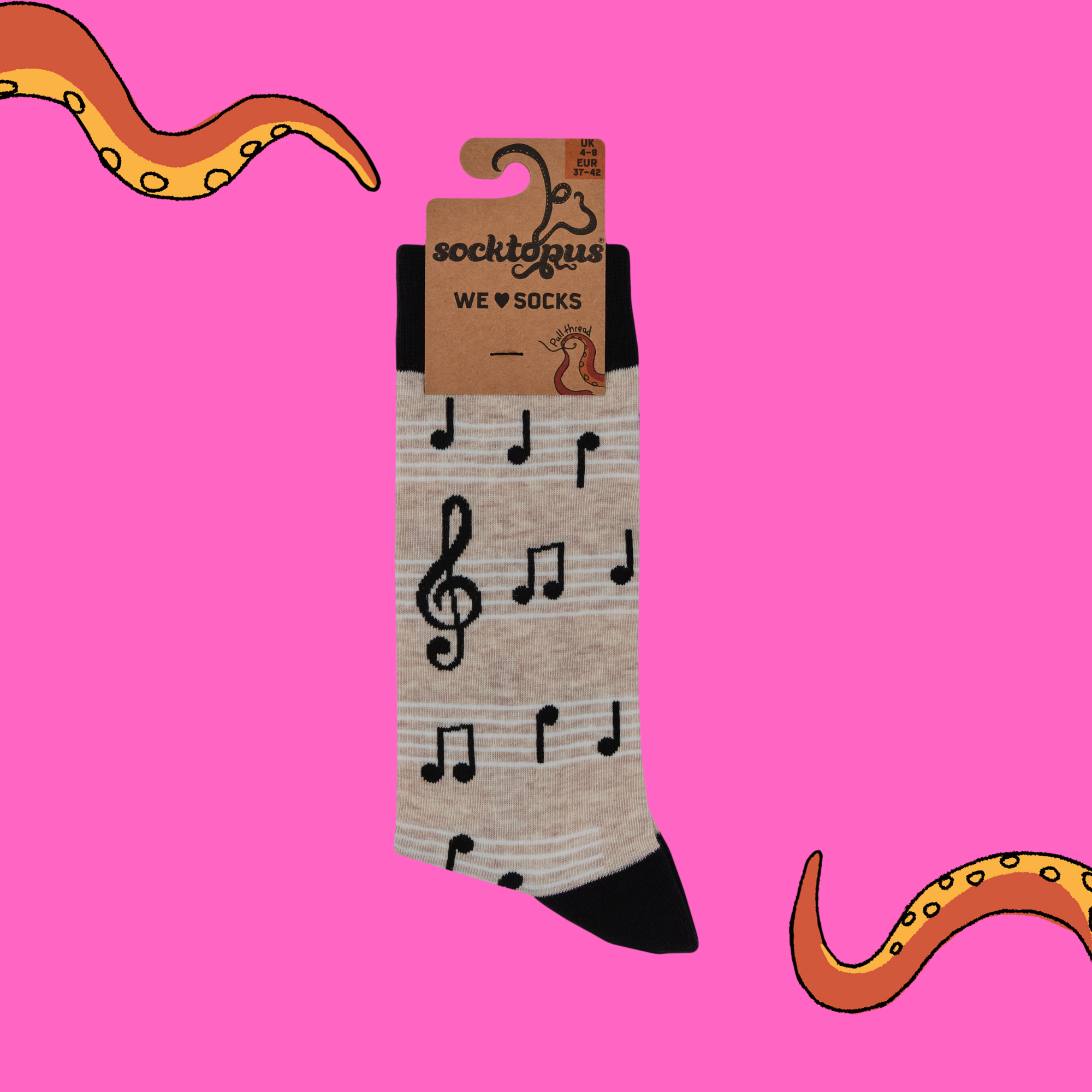Music Socks - Footnotes