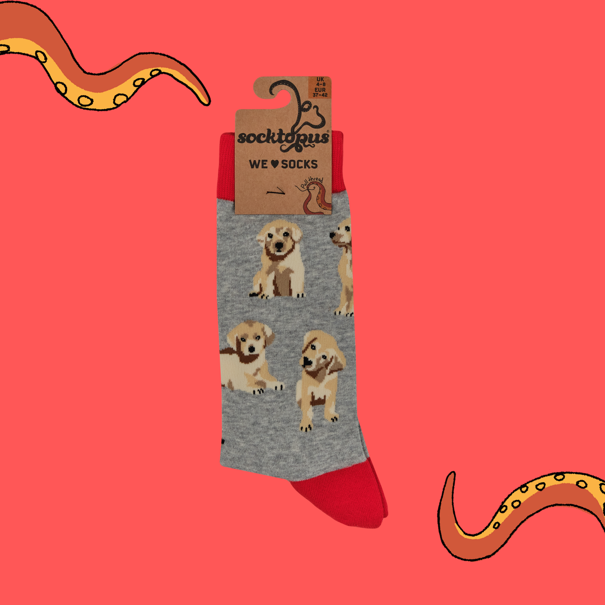 Puppy Love Socks