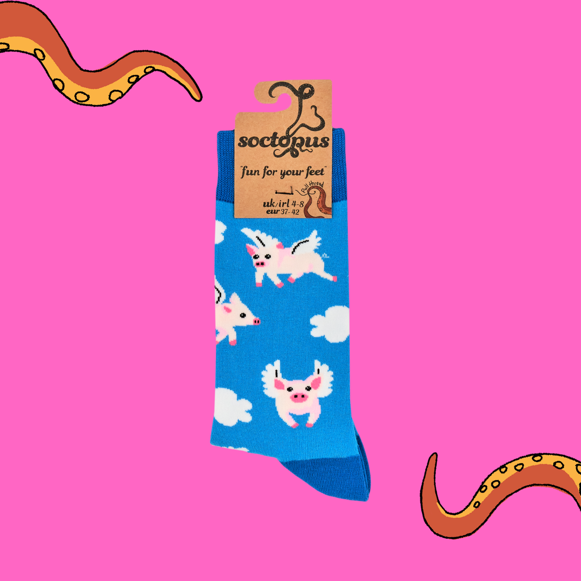 Pigs Can Fly Socks