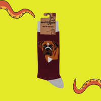 Boxer Dog Socks - Think Outside The Boxer