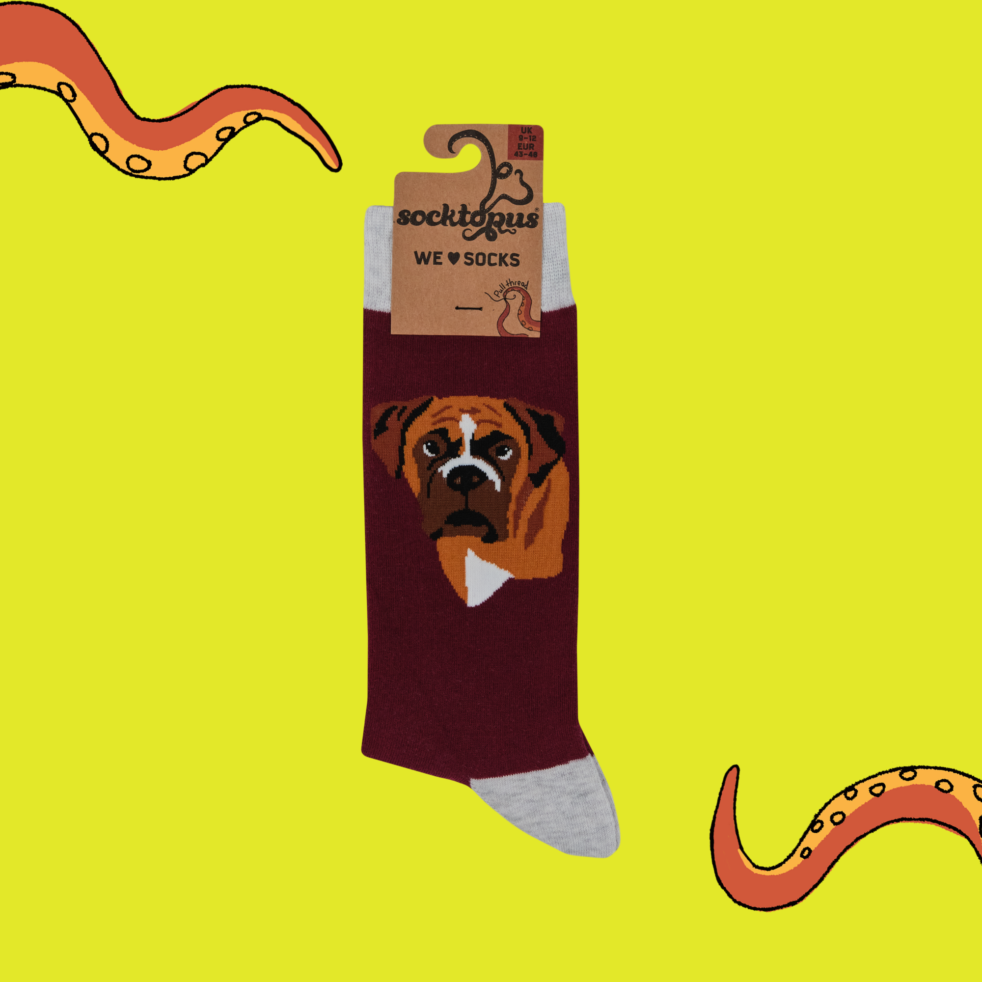 Boxer Dog Socks - Think Outside The Boxer